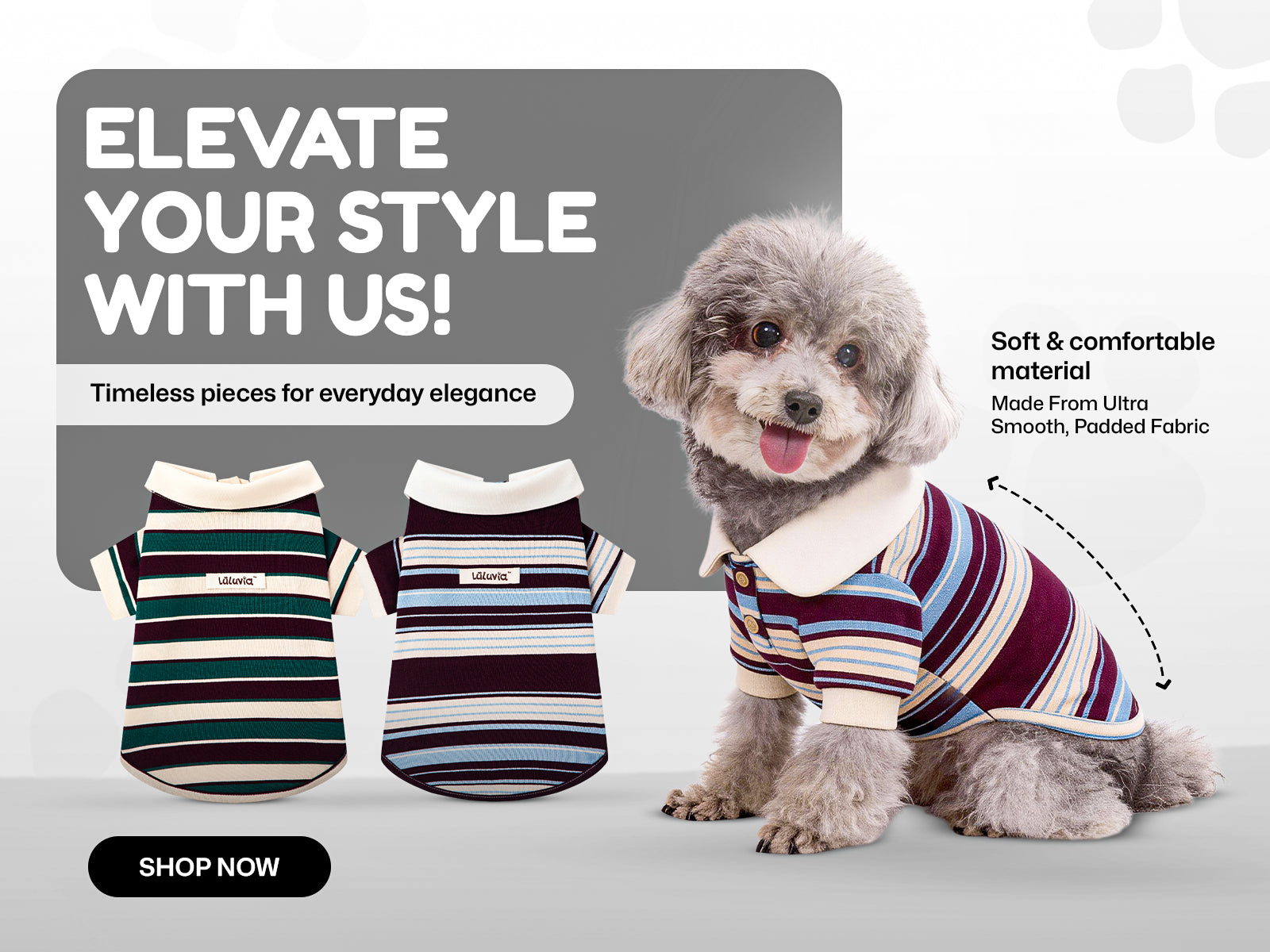 Why Pet Fashion Is More Than Just a Trend