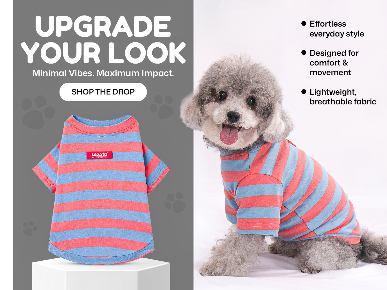 Dressing for the Seasons: What Your Pet Actually Needs