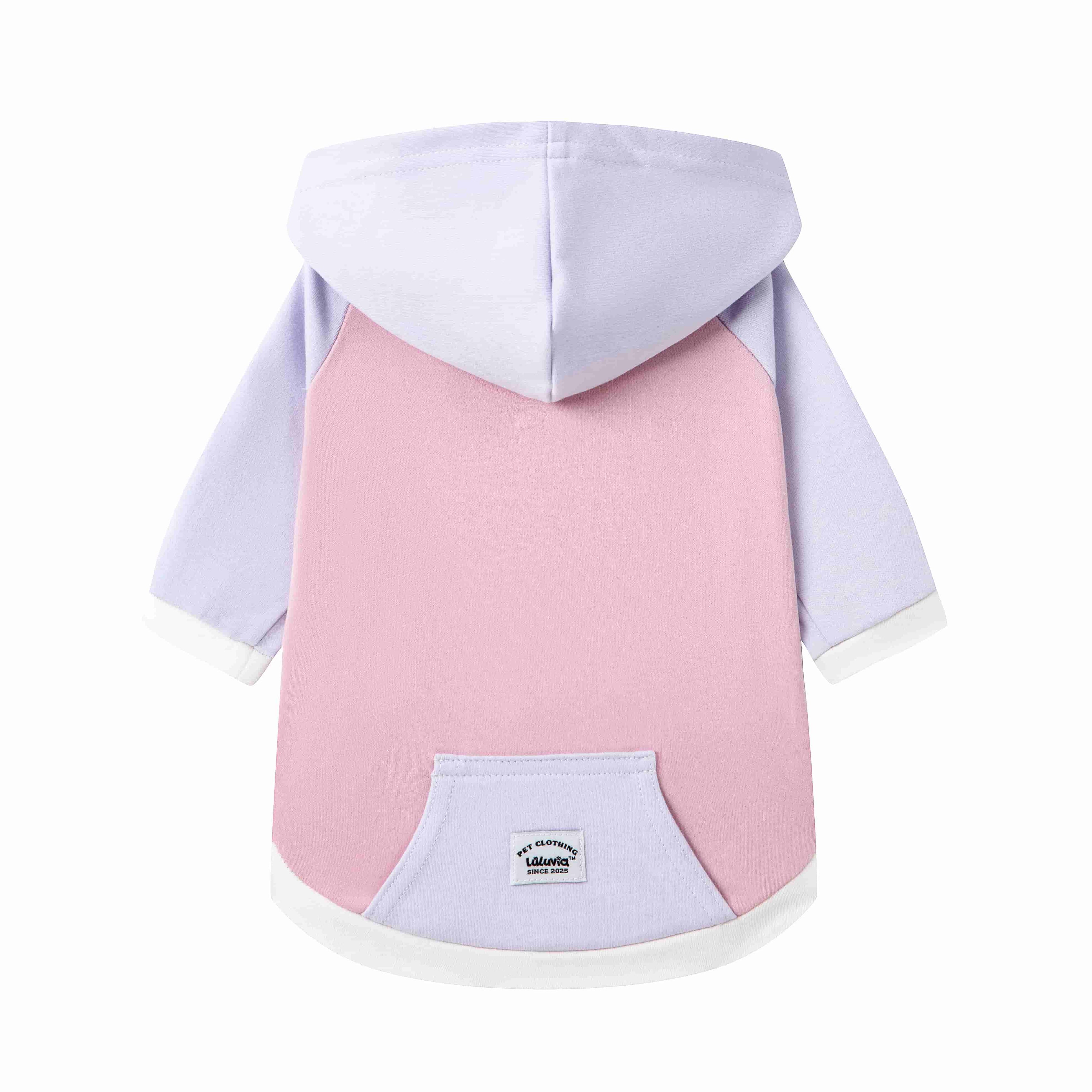 Color Play Hoodie