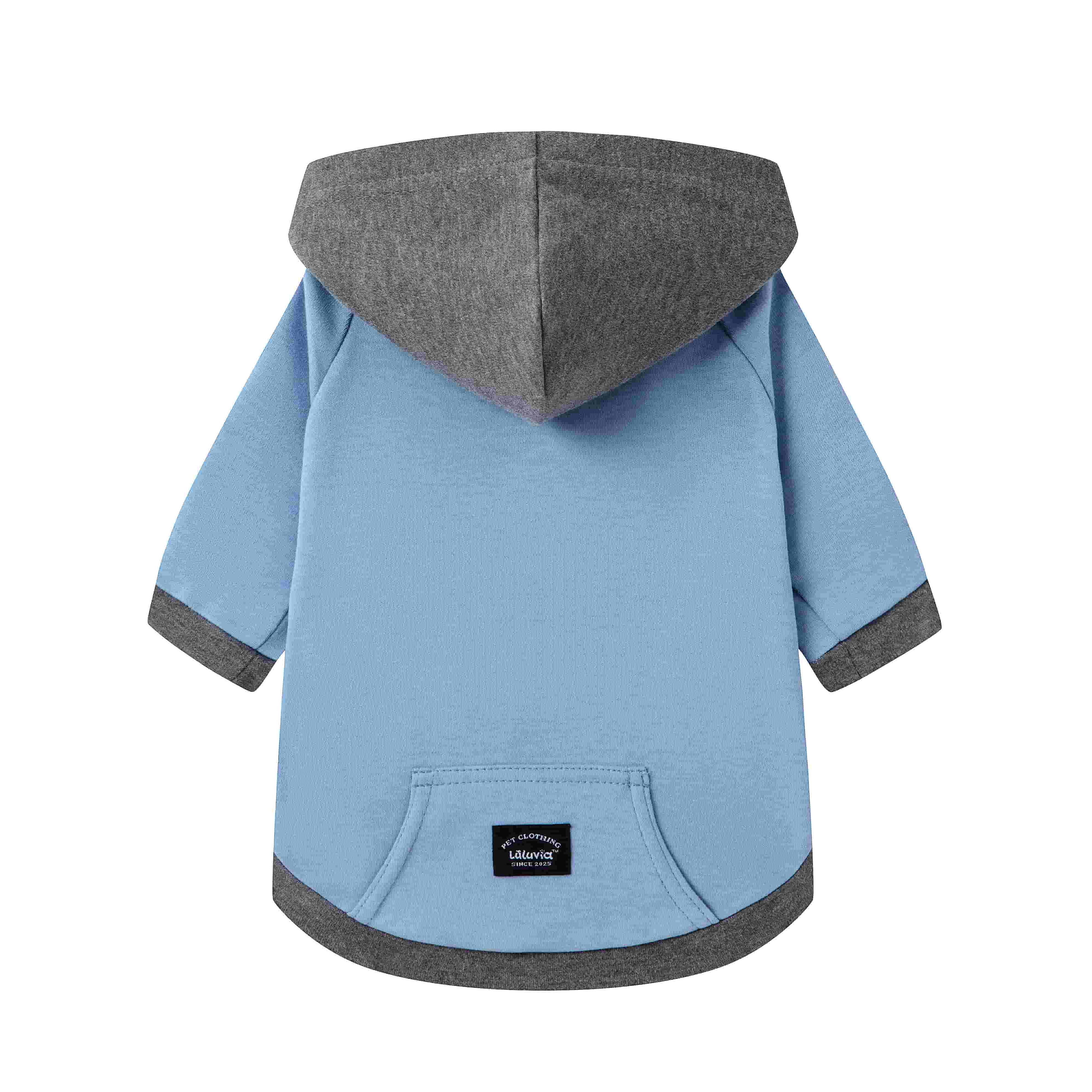 Color Play Hoodie