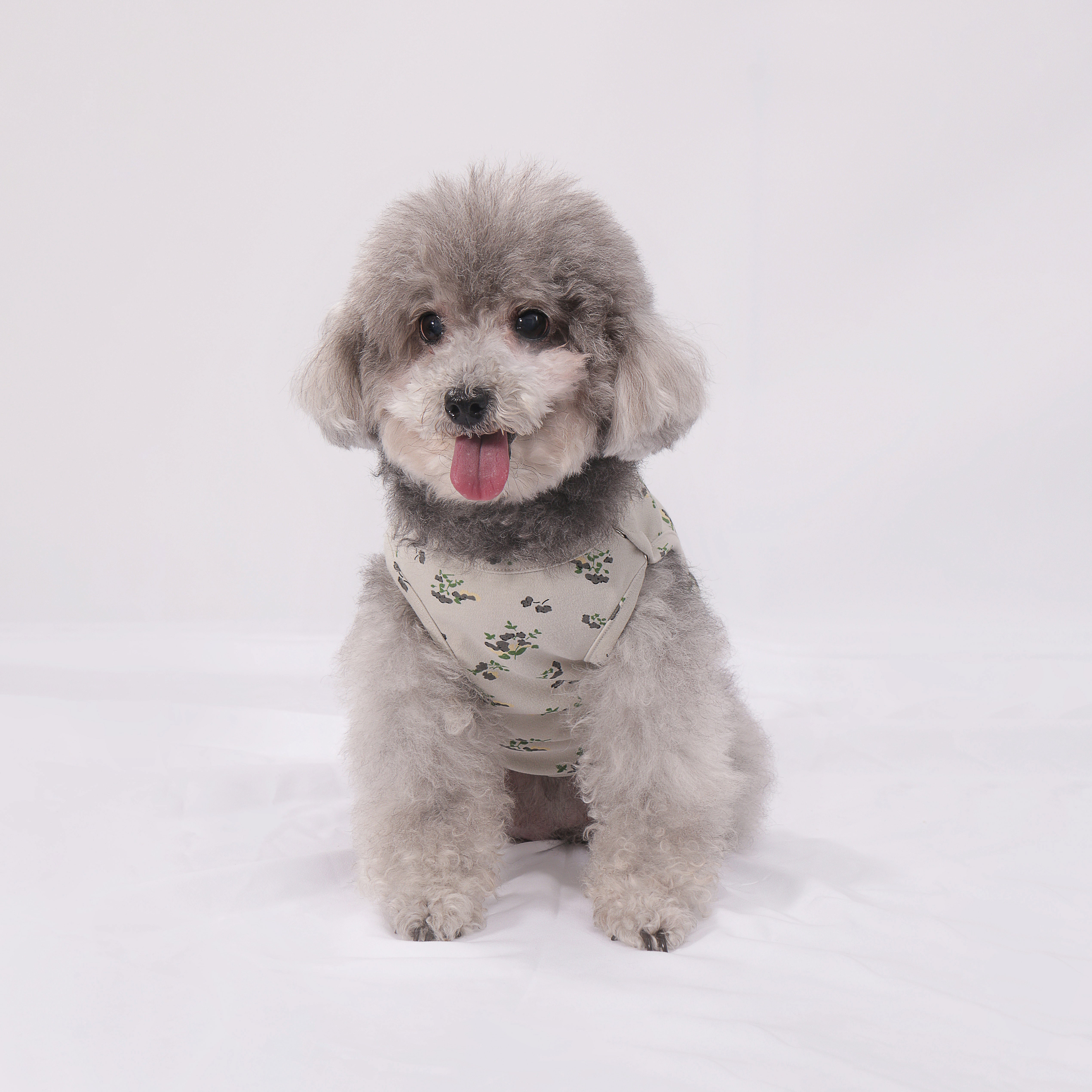 LULUVIA Pet Clothing