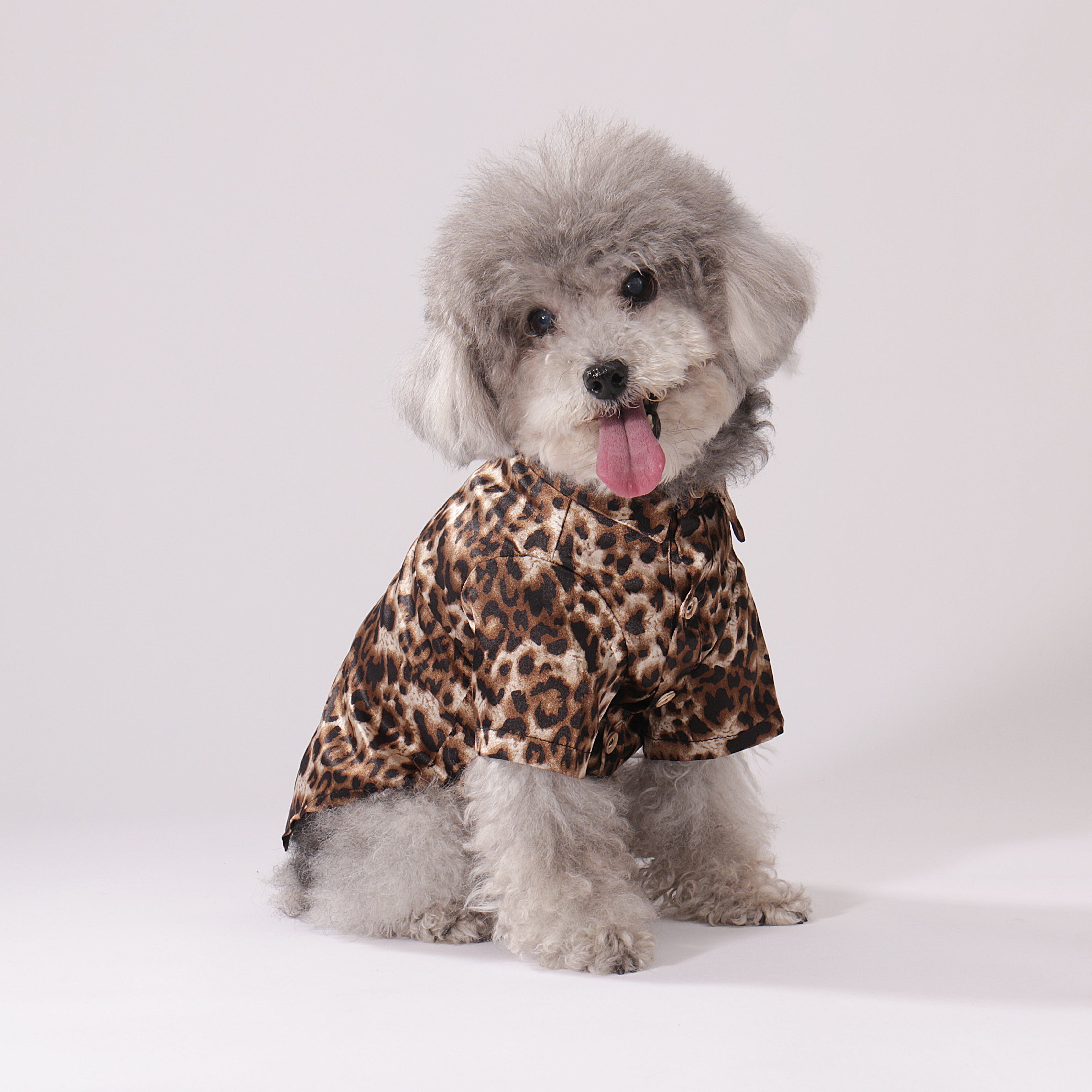 Wild Leopard Shirt