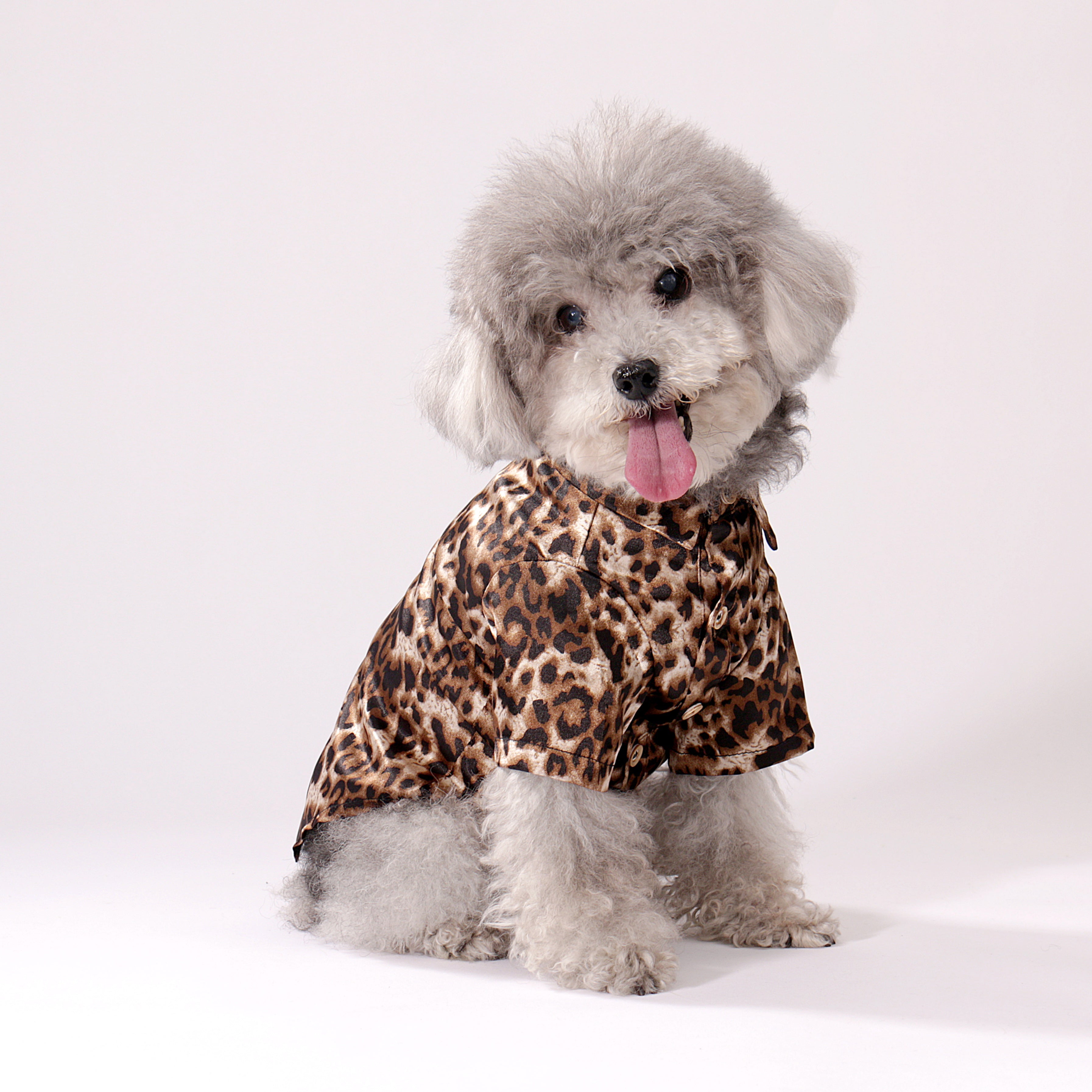 Wild Leopard Shirt