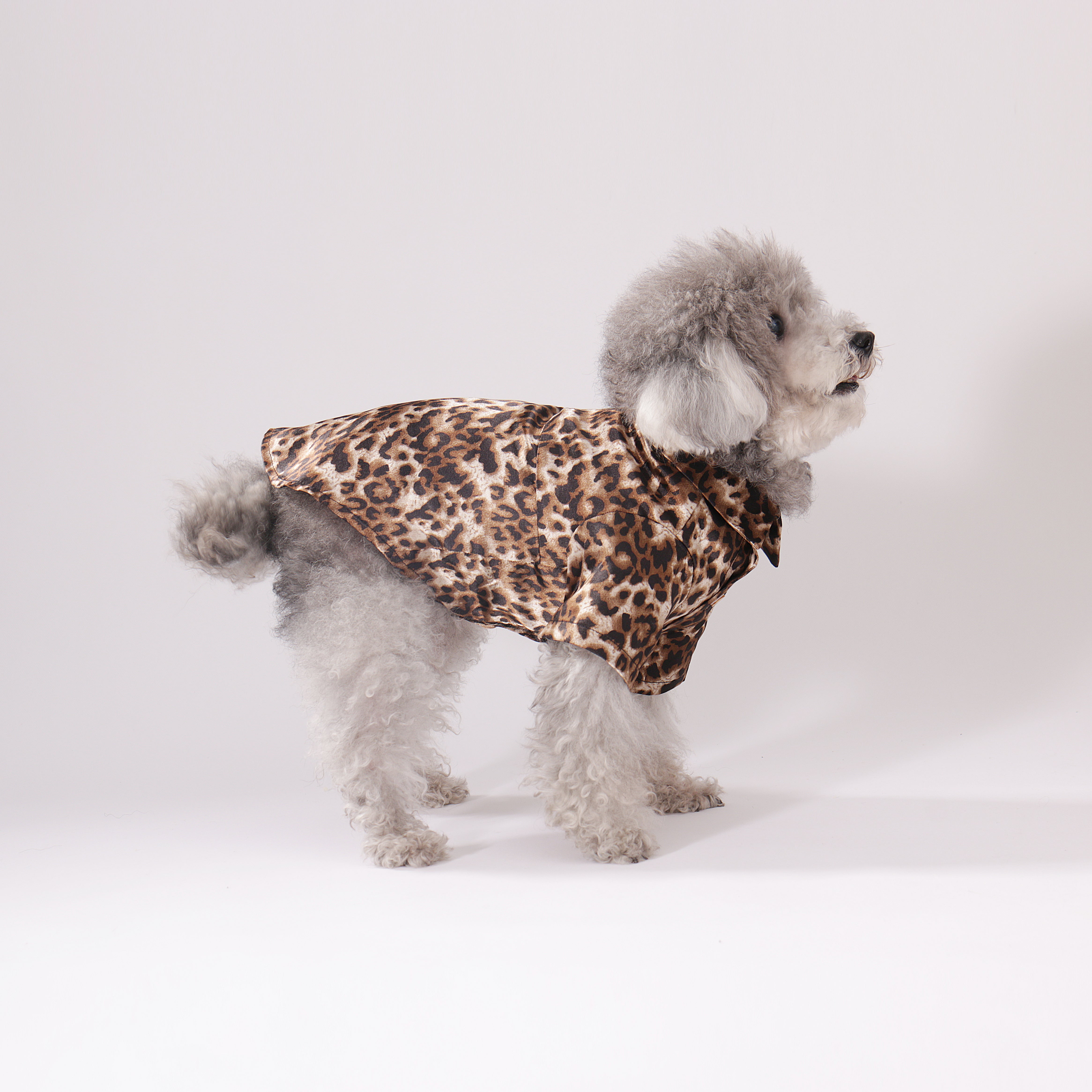 Wild Leopard Shirt