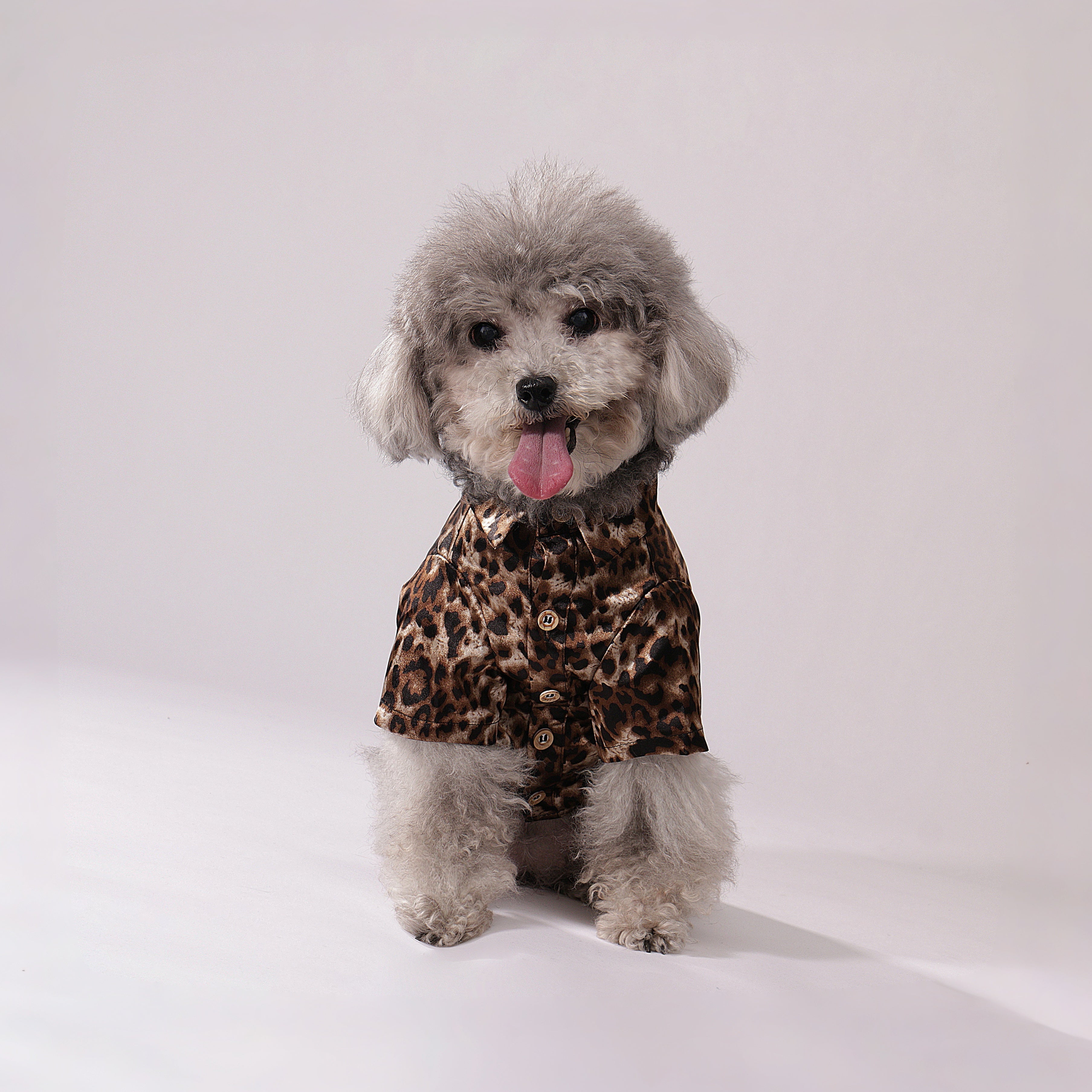 Wild Leopard Shirt