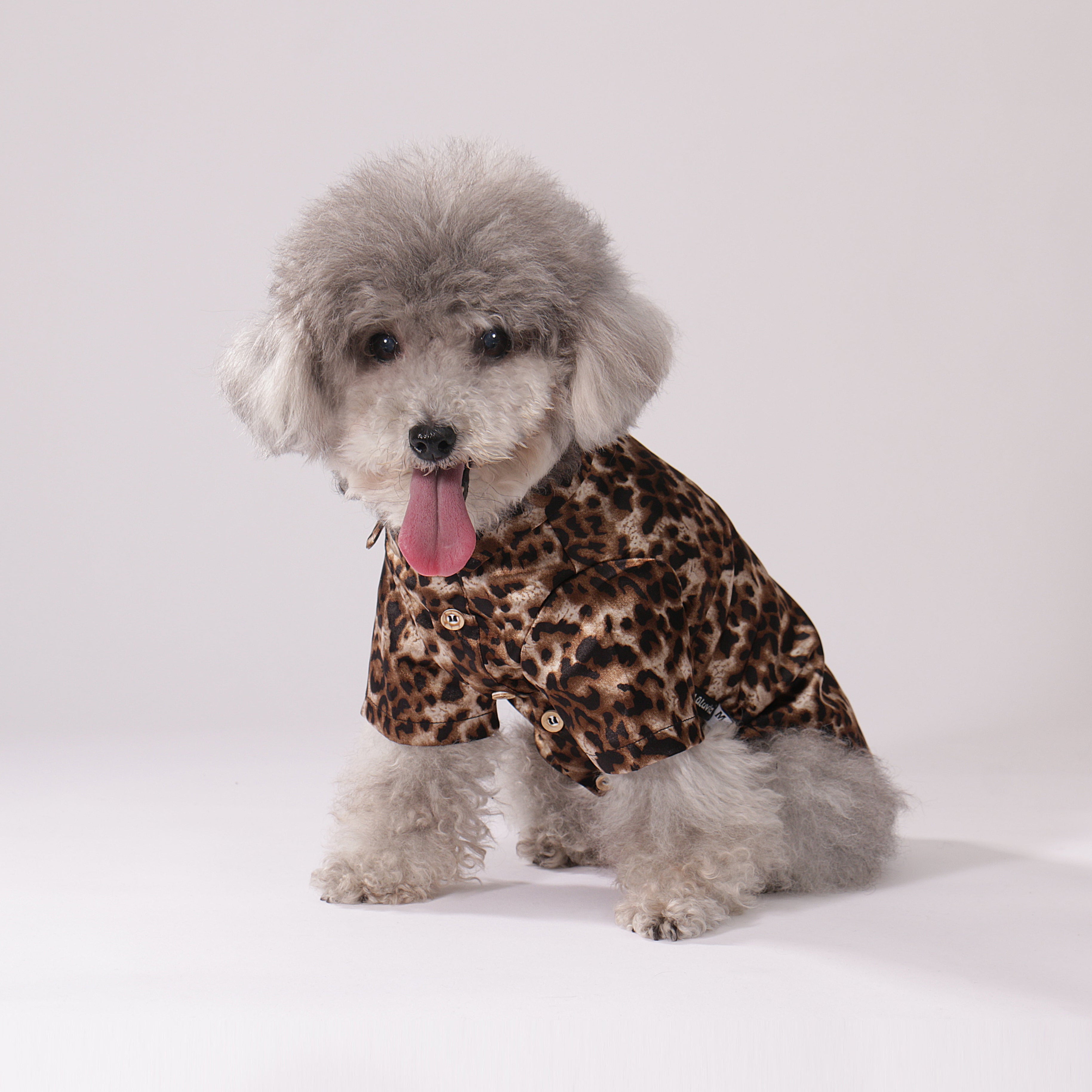 Wild Leopard Shirt