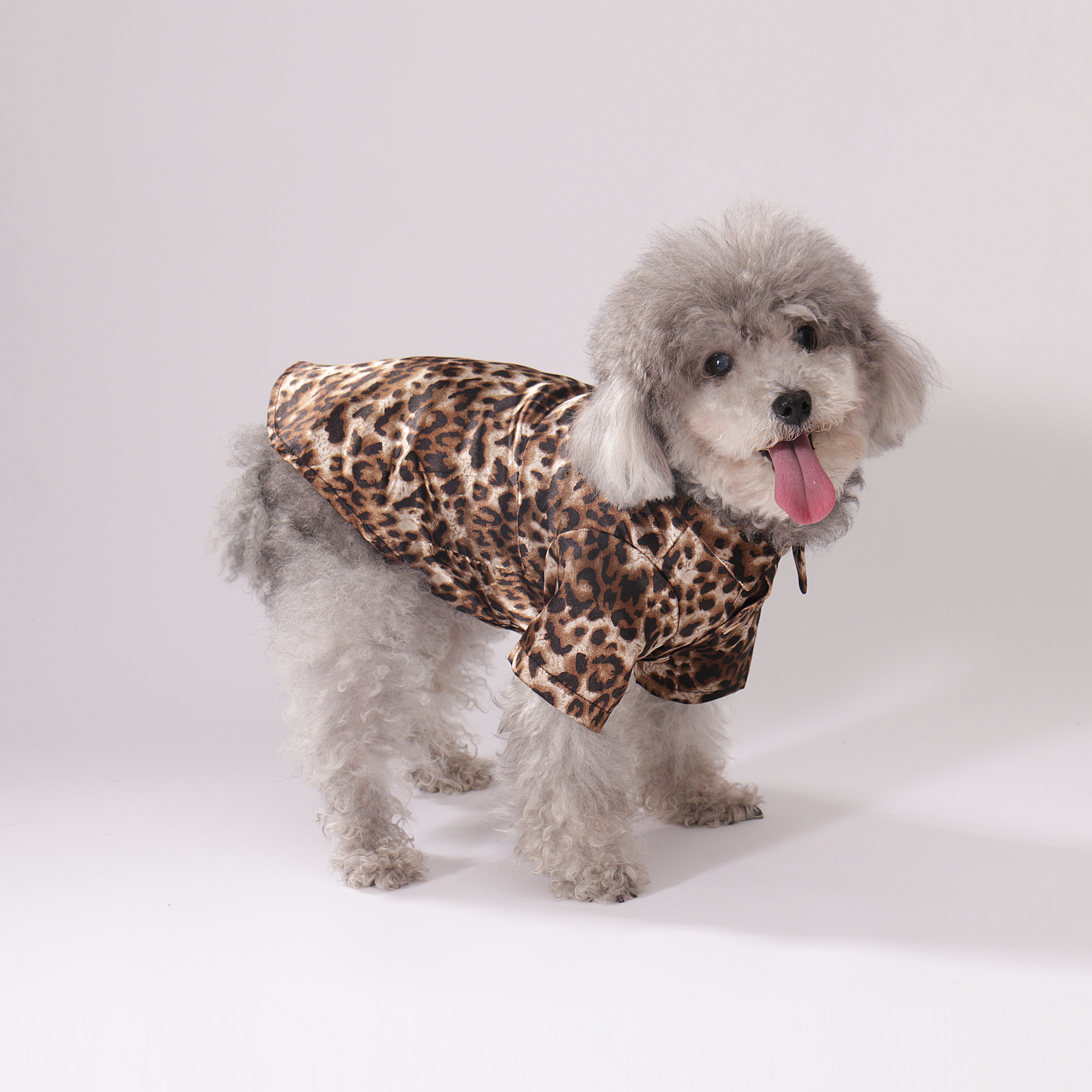 Wild Leopard Shirt