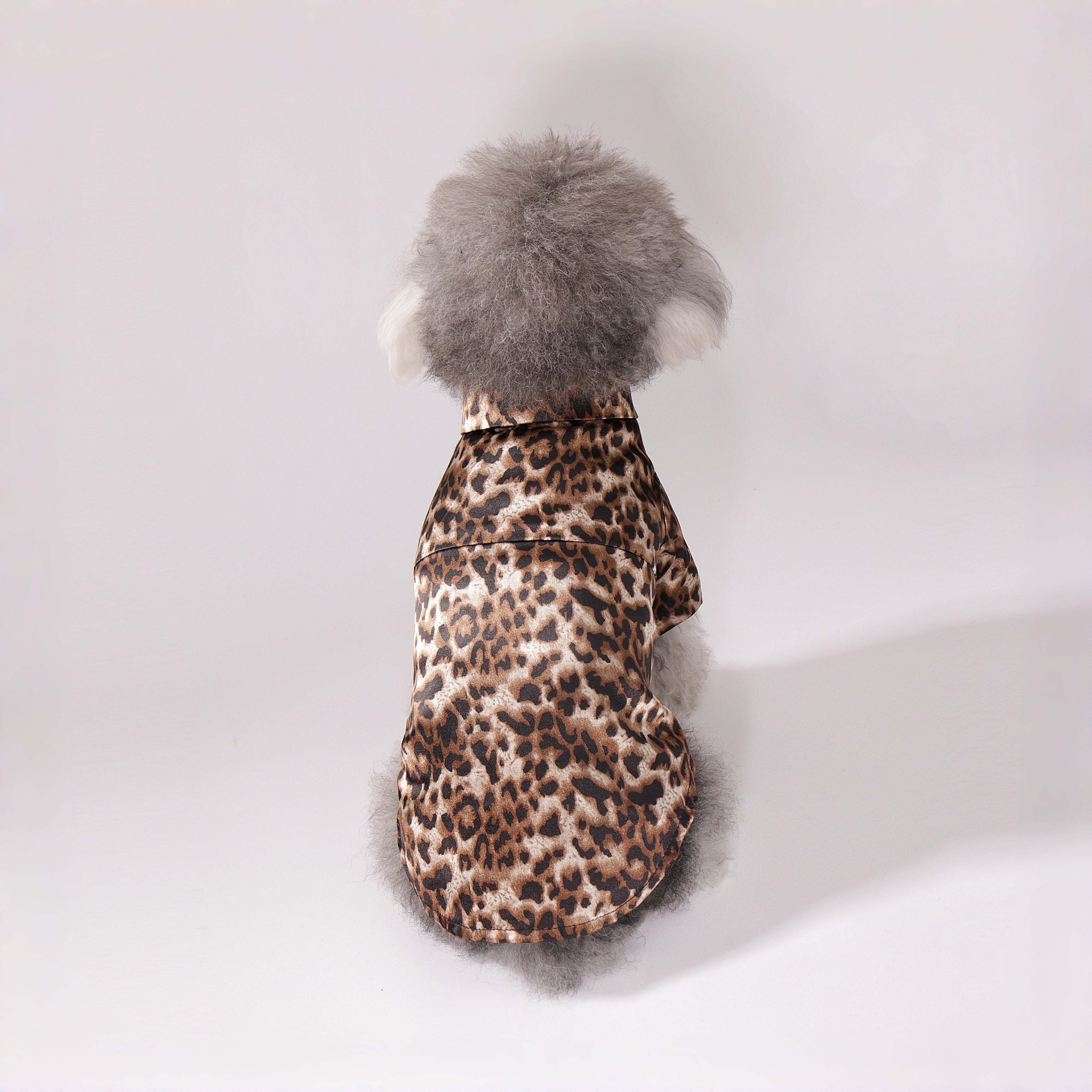 Wild Leopard Shirt