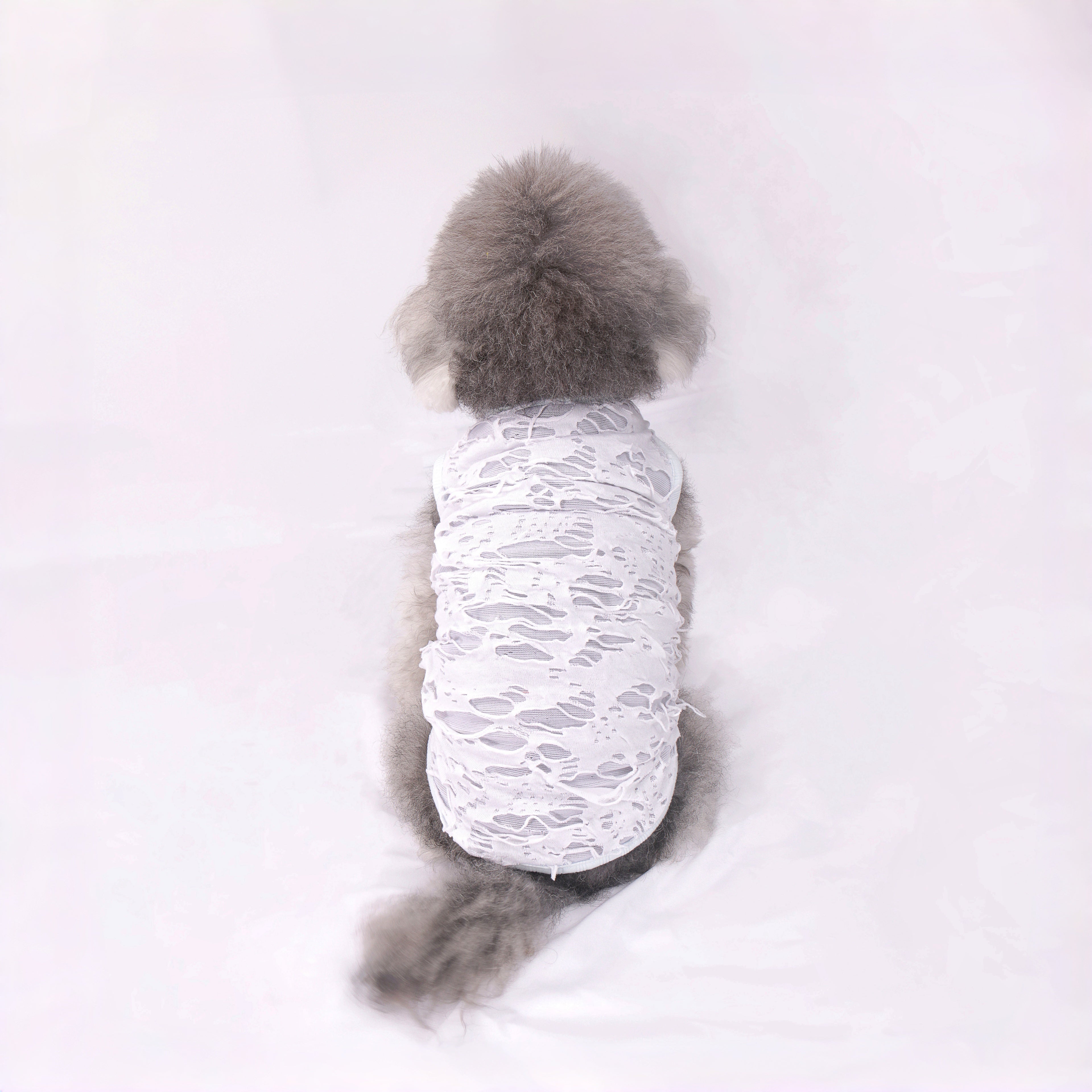 Distressed Botton Tank