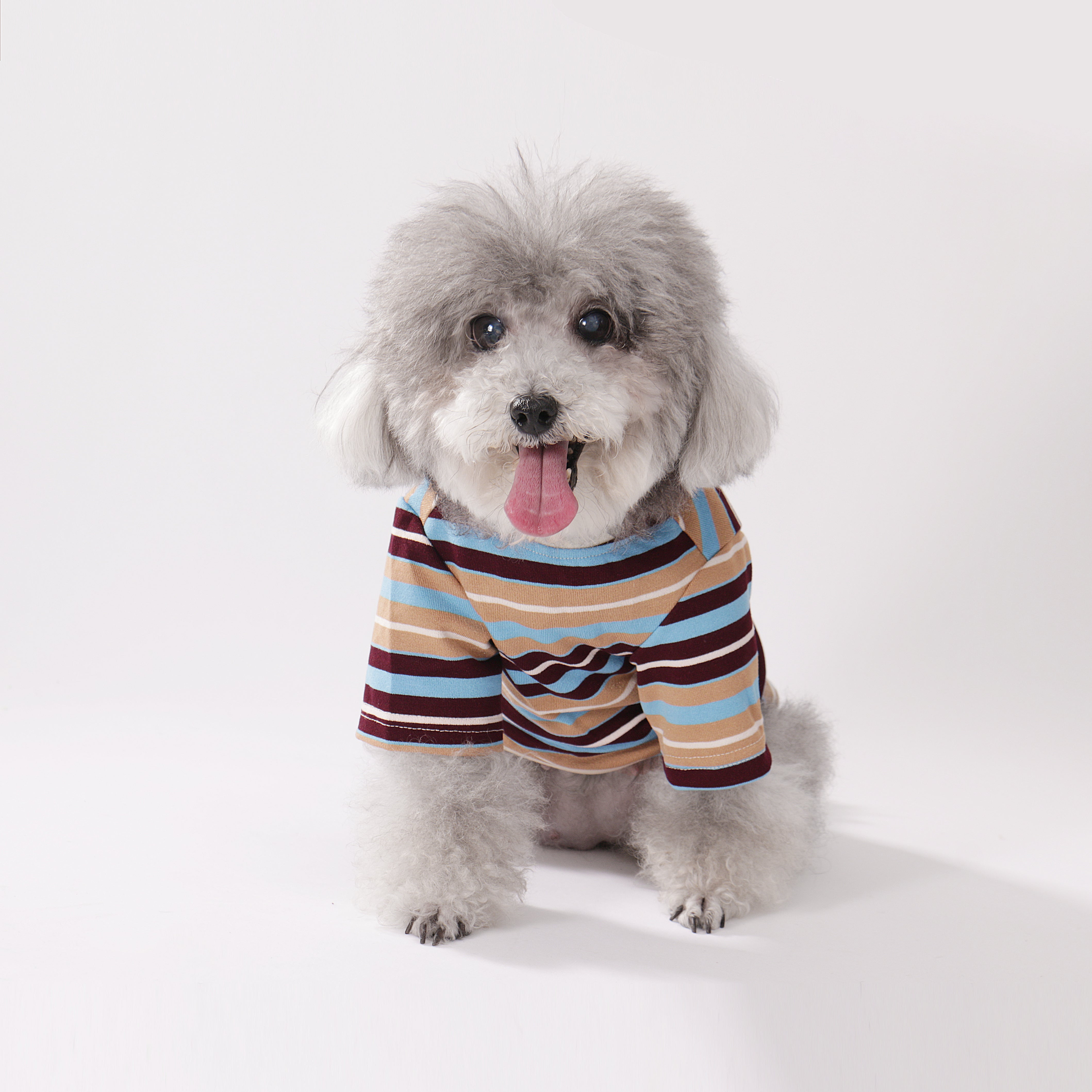 Lulu Stripe Polo