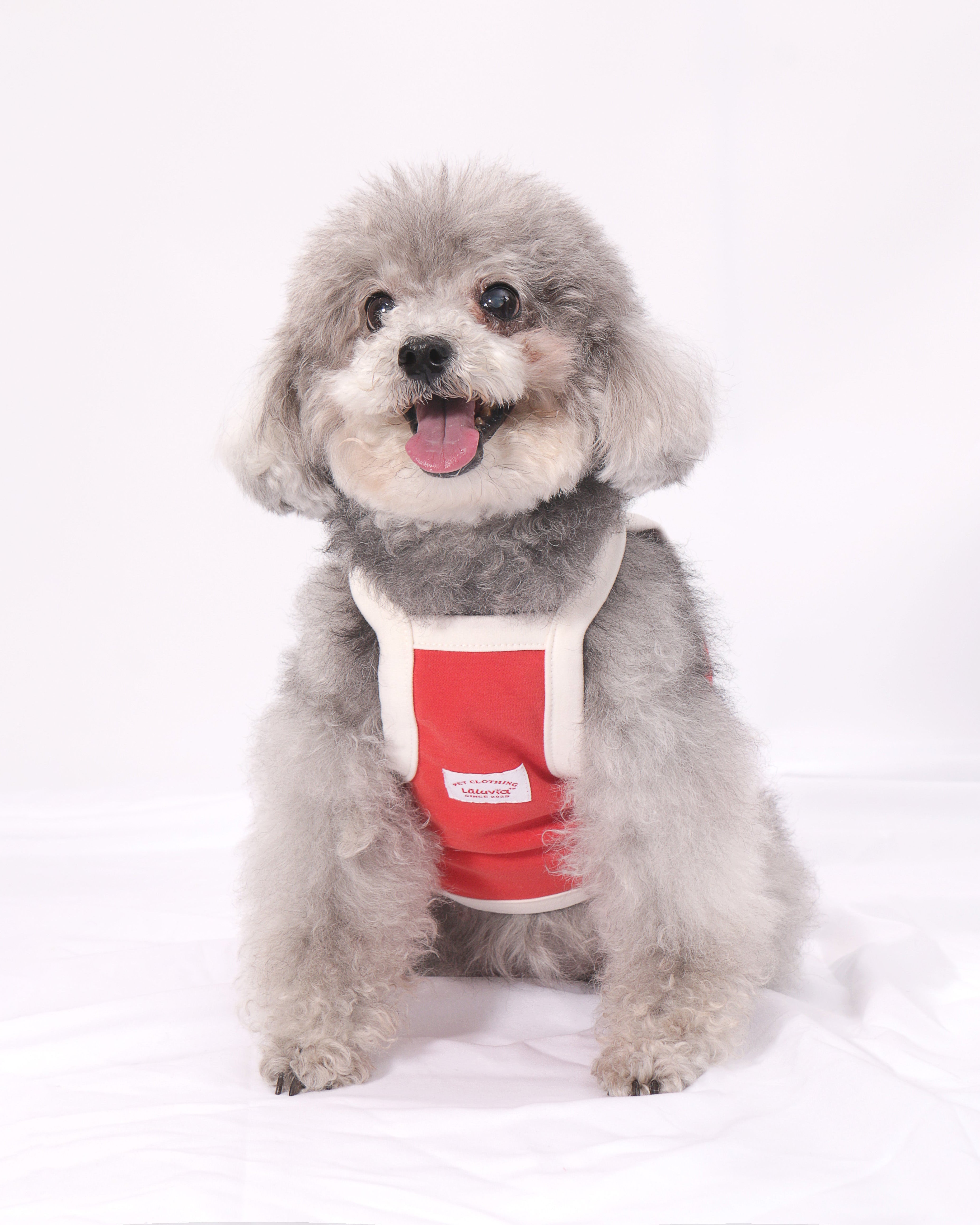 LULUVIA Pet Clothing
