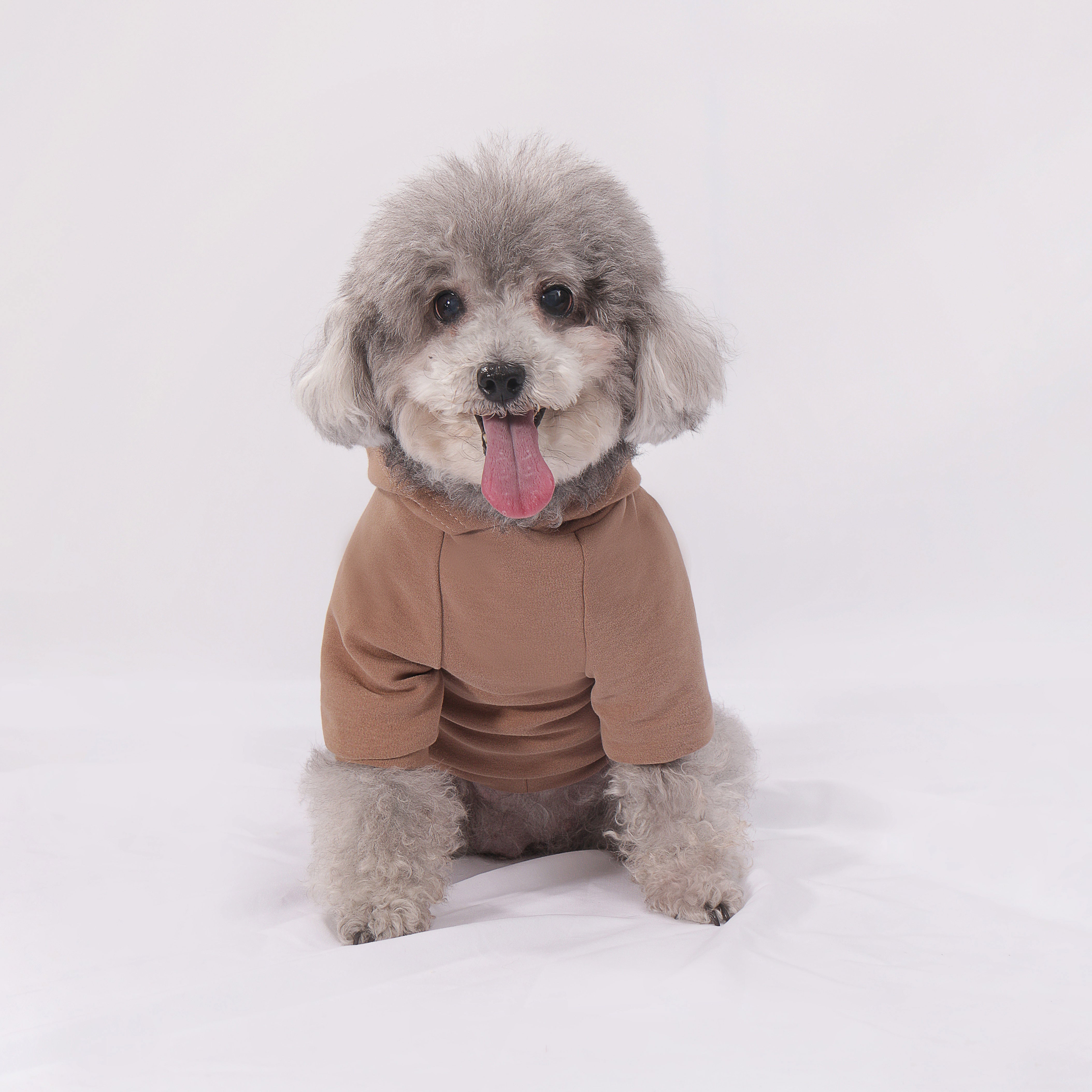 LULUVIA Pet Clothing