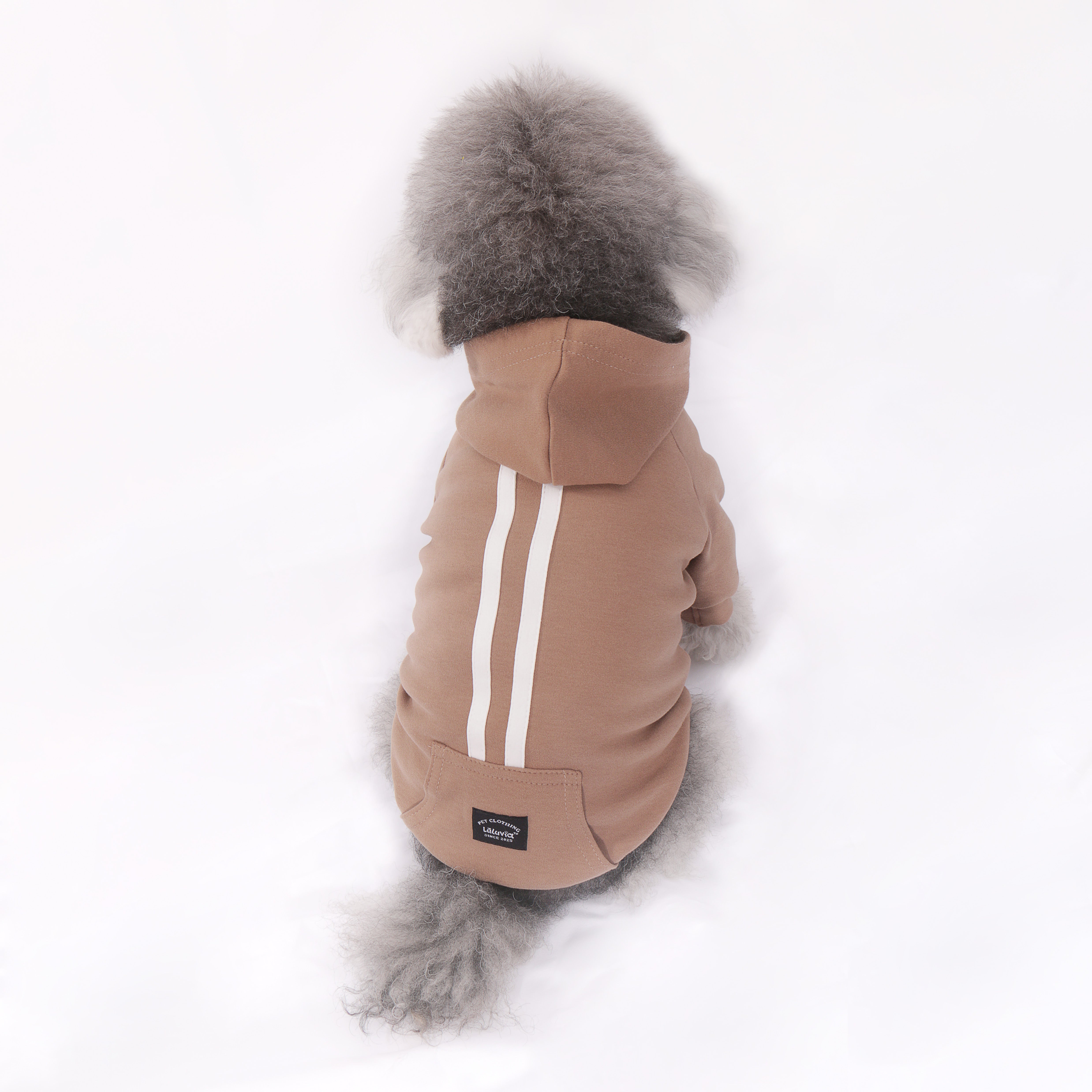 Sport Stripe Hoodie