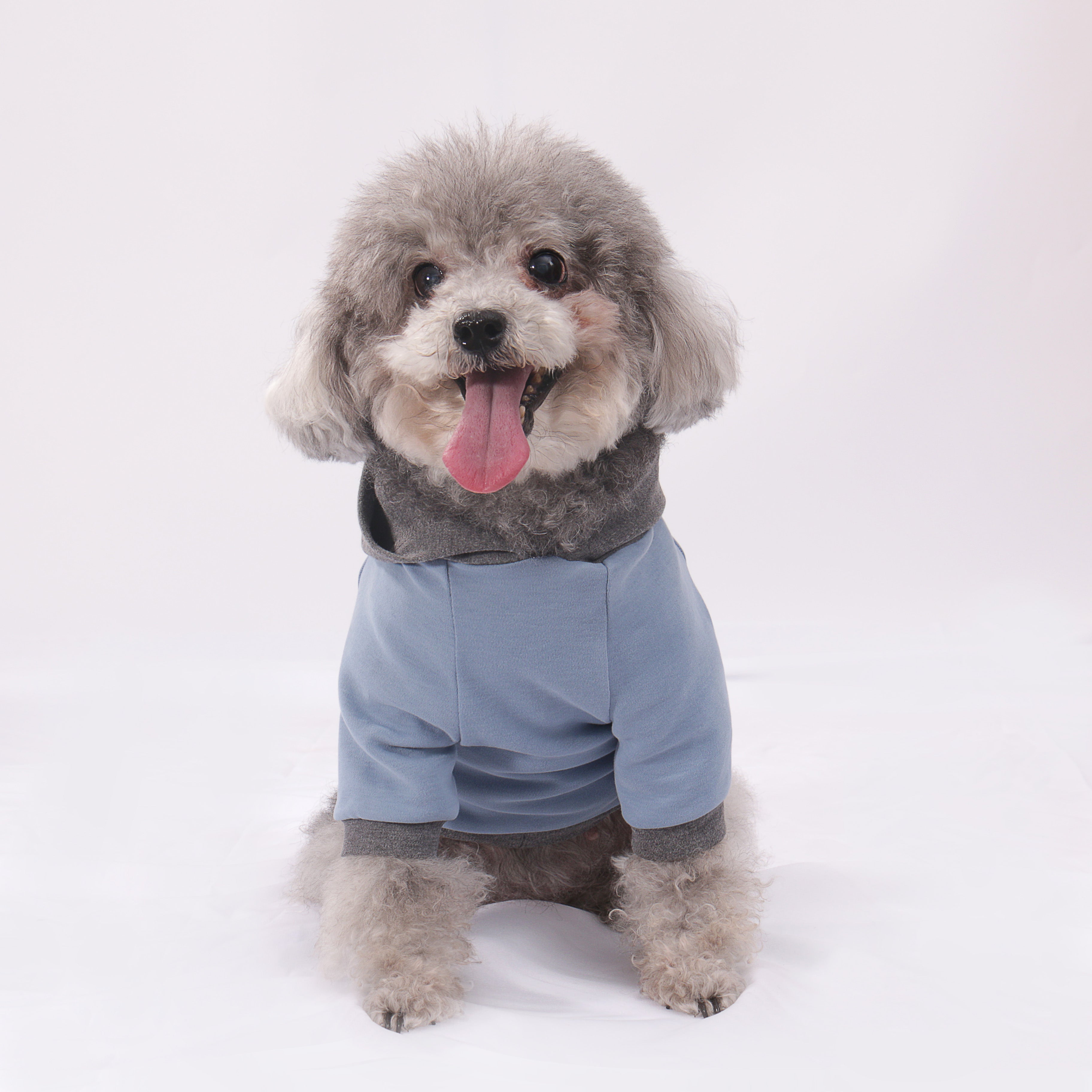 Color Play Hoodie