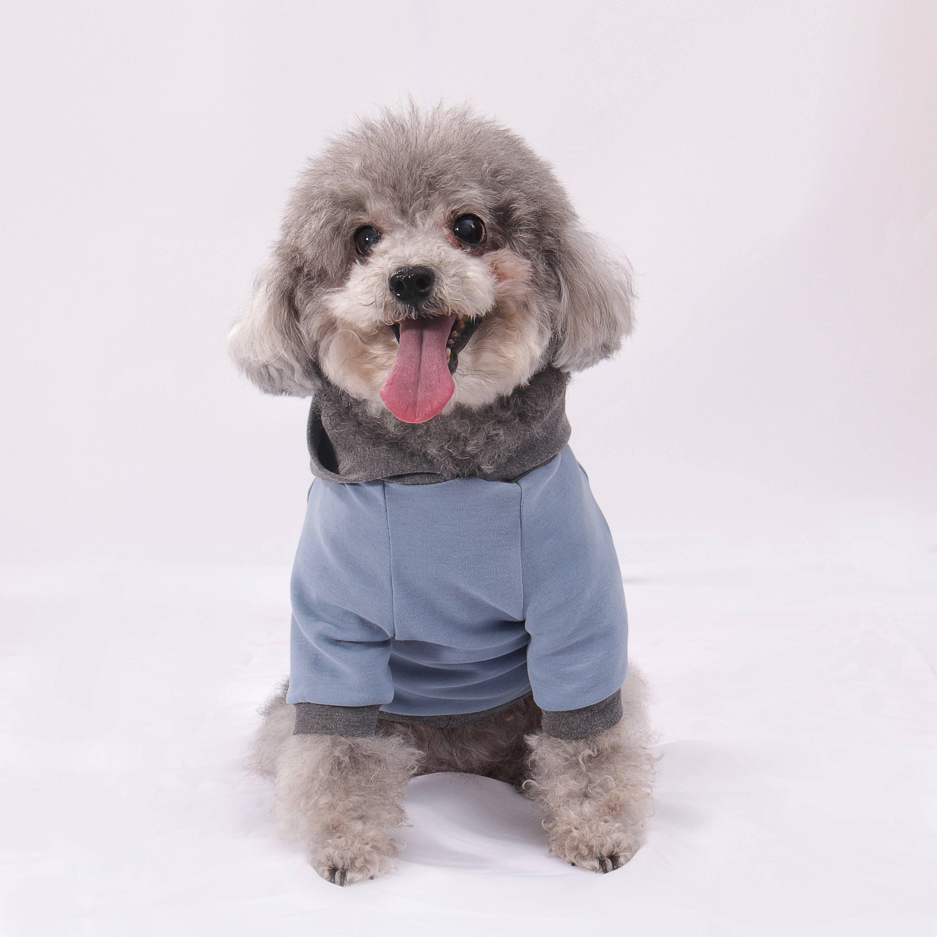 LULUVIA Pet Clothing