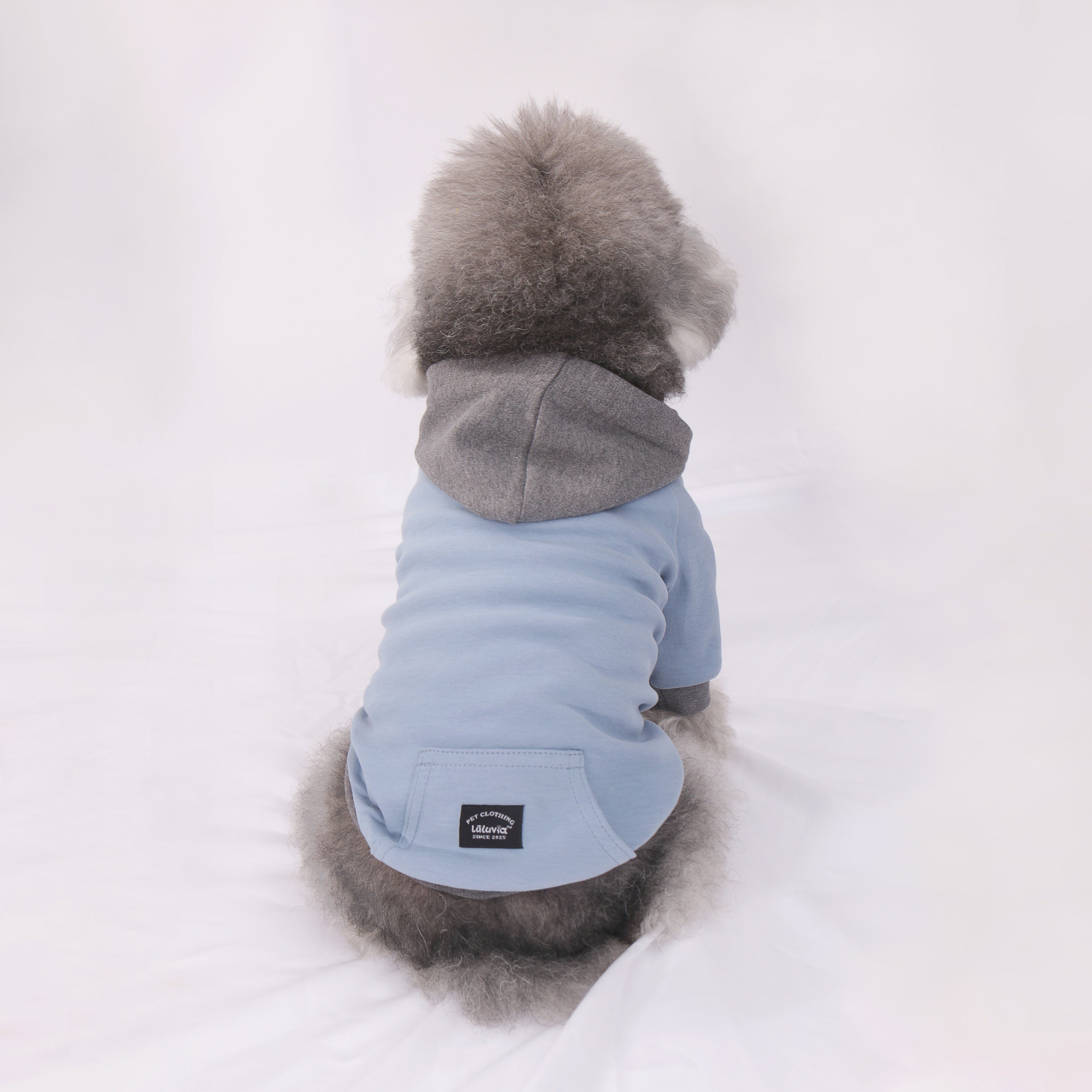 Color Play Hoodie