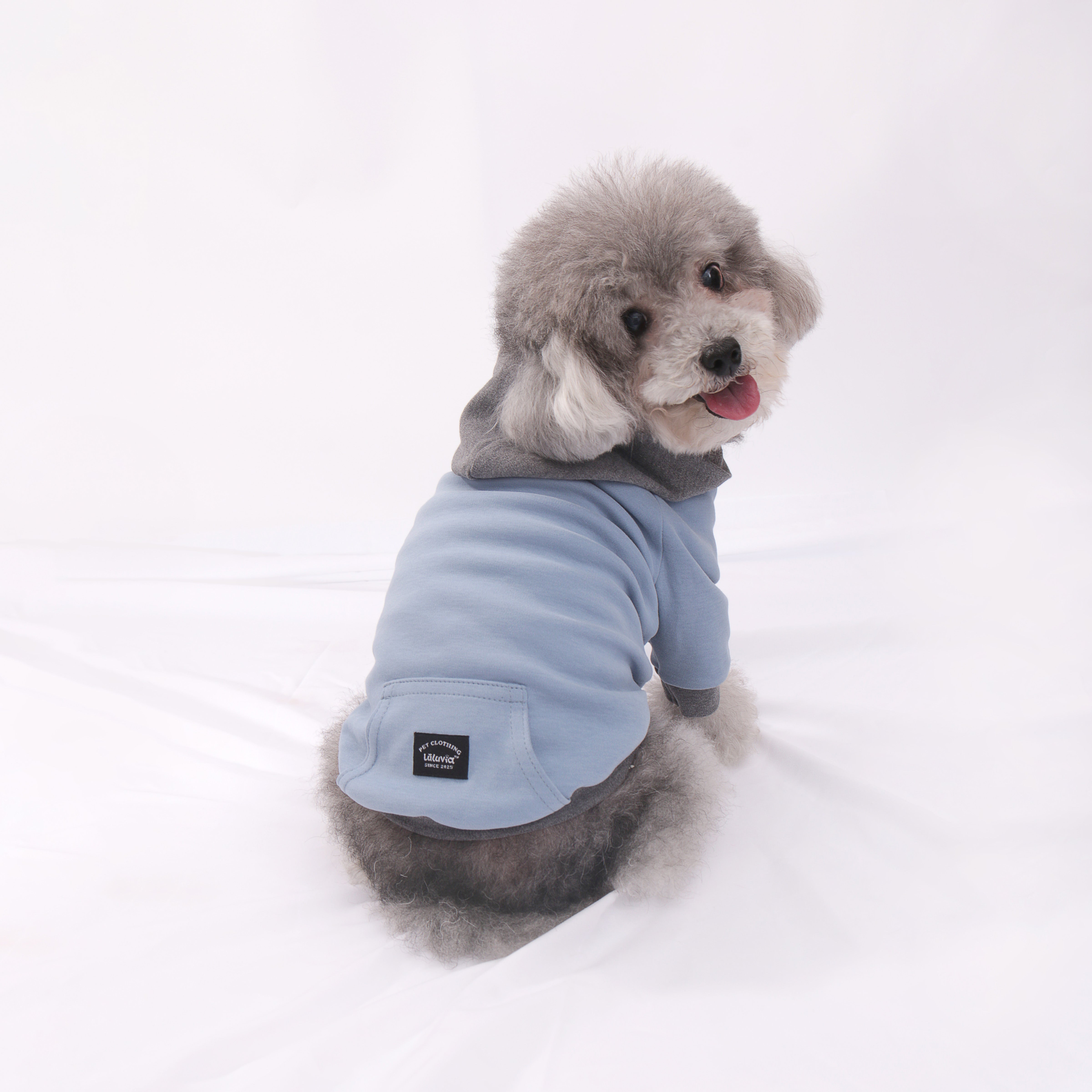 Color Play Hoodie