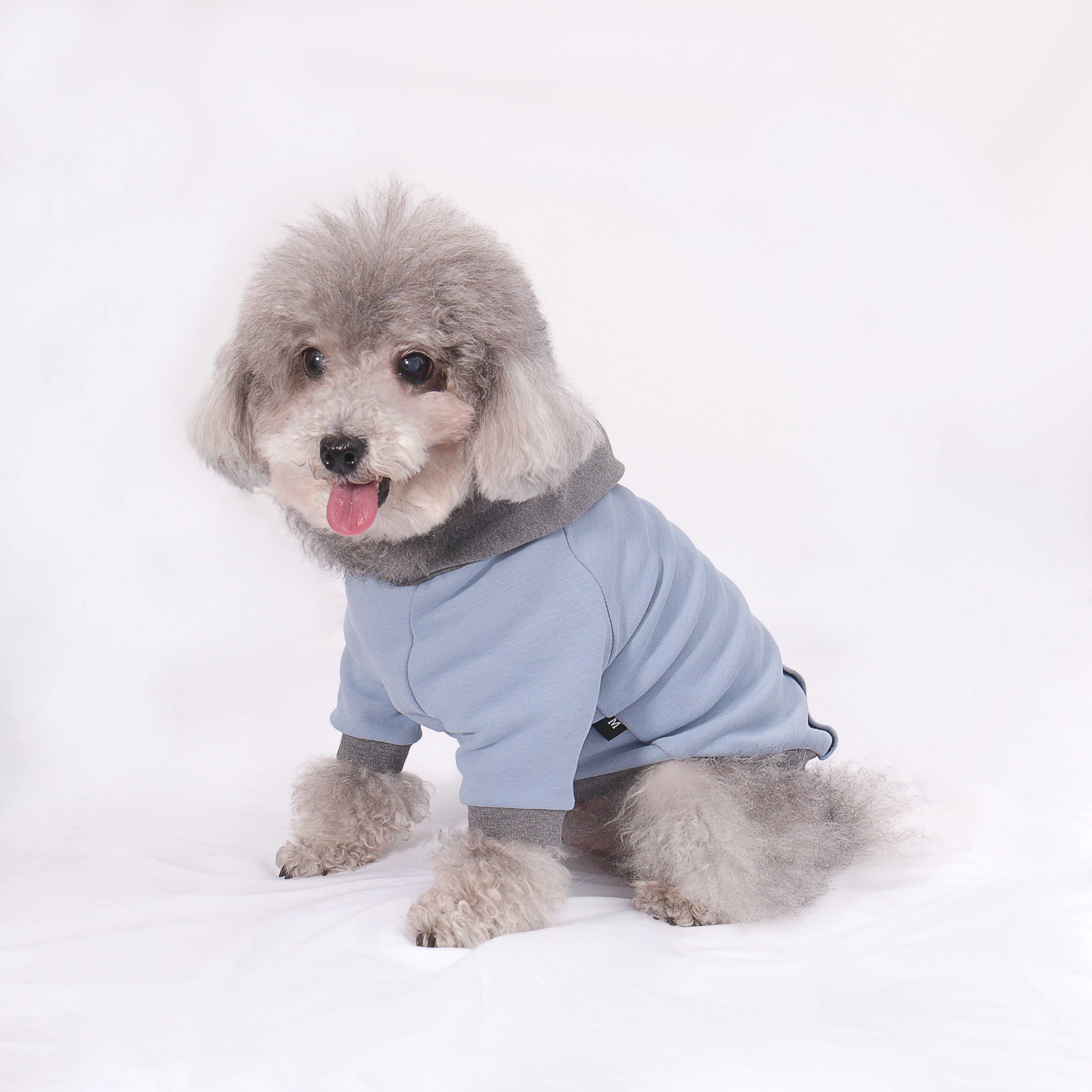 Color Play Hoodie