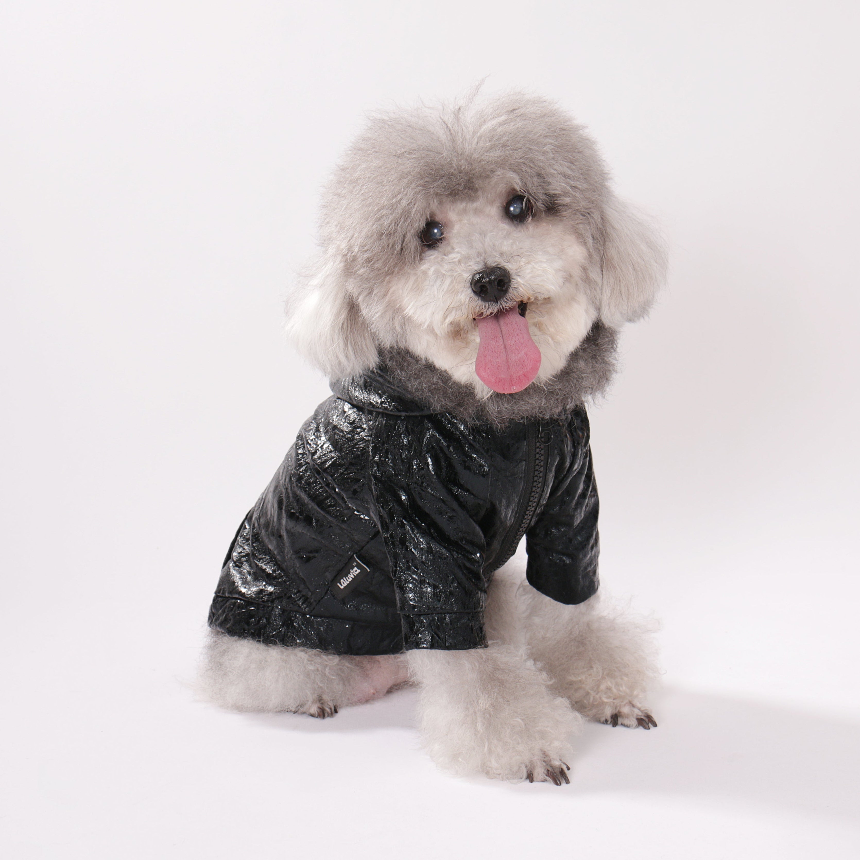 Vinyl Zip Hoodie