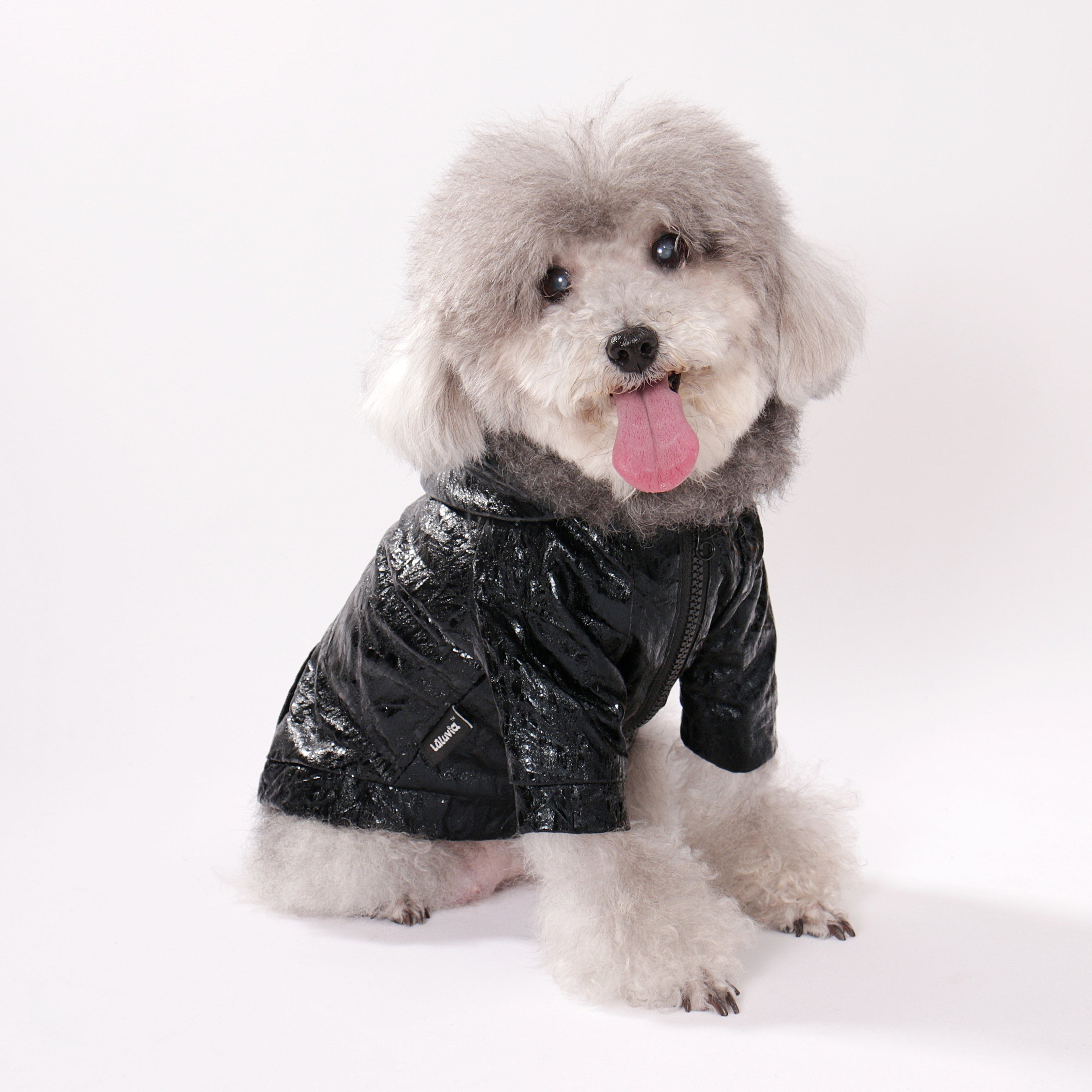 Vinyl Zip Hoodie