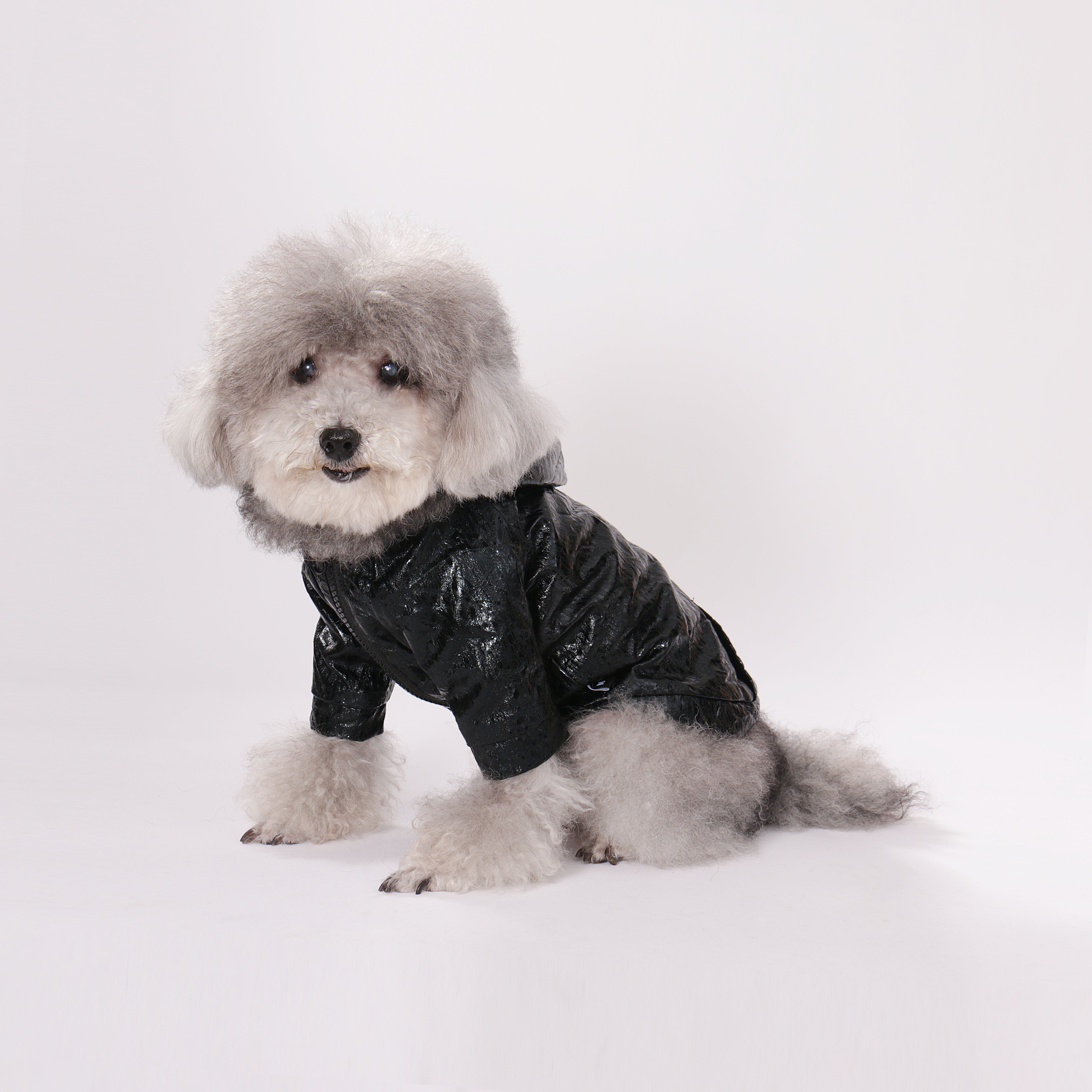 Vinyl Zip Hoodie