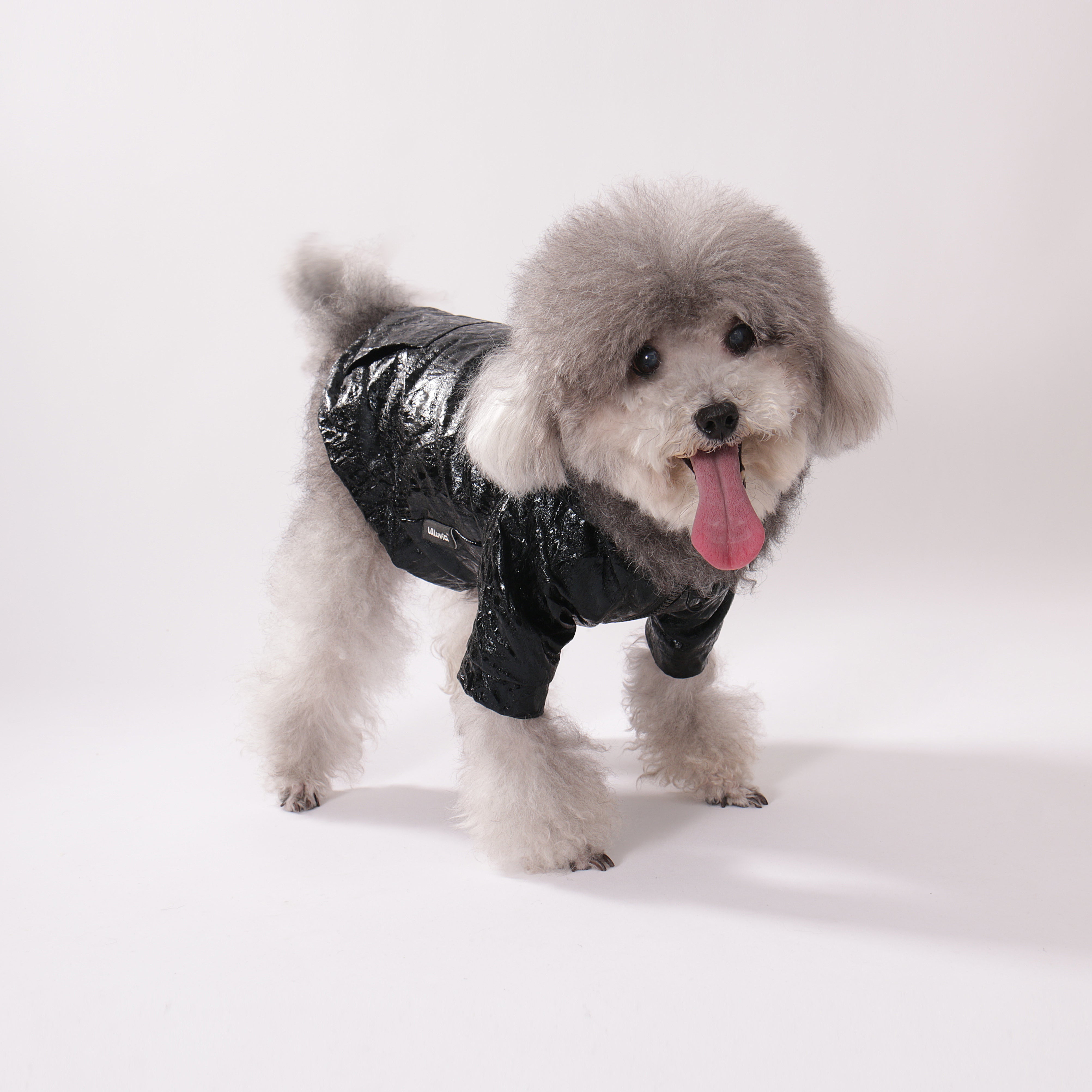 Vinyl Zip Hoodie