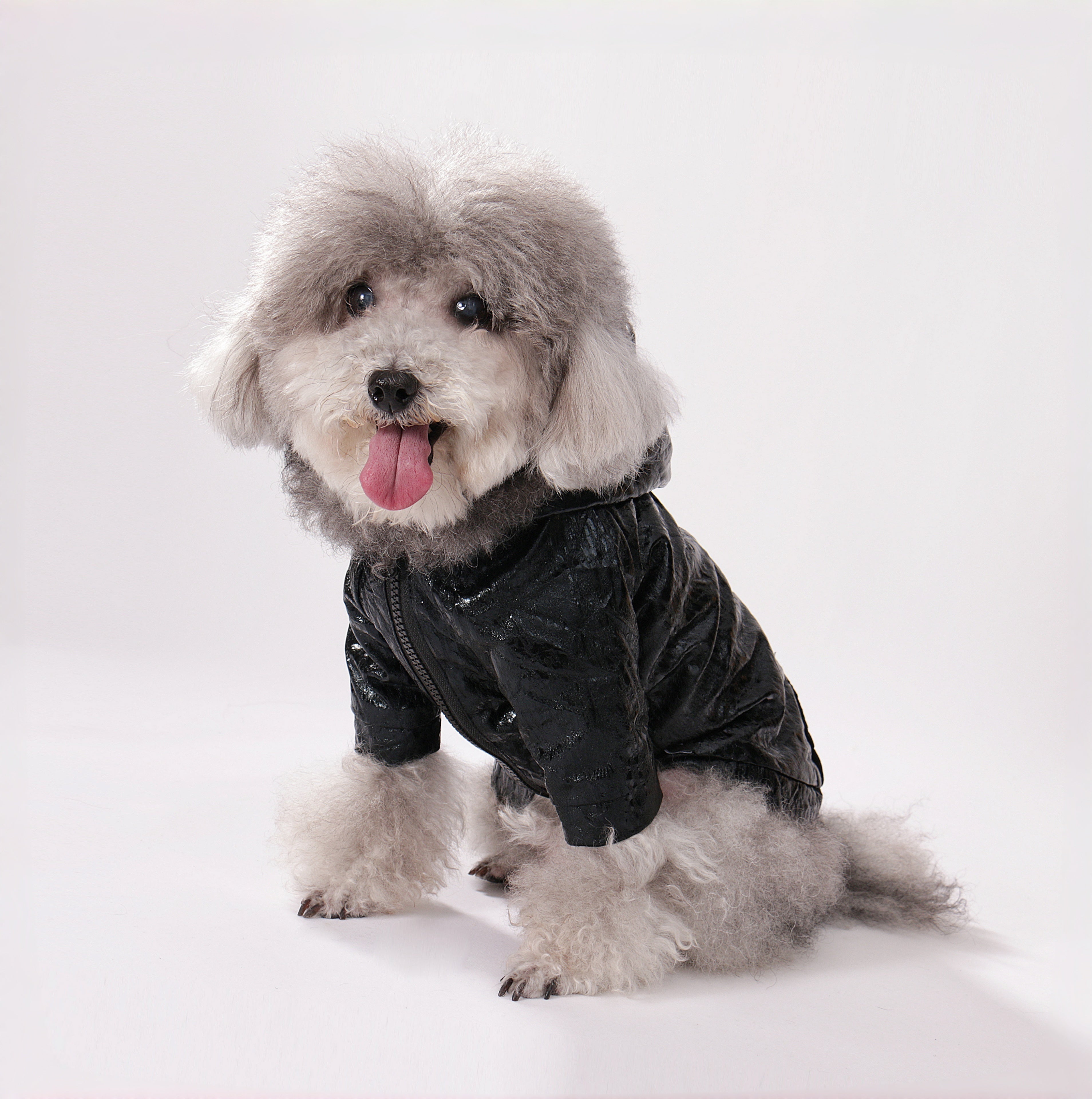 Vinyl Zip Hoodie