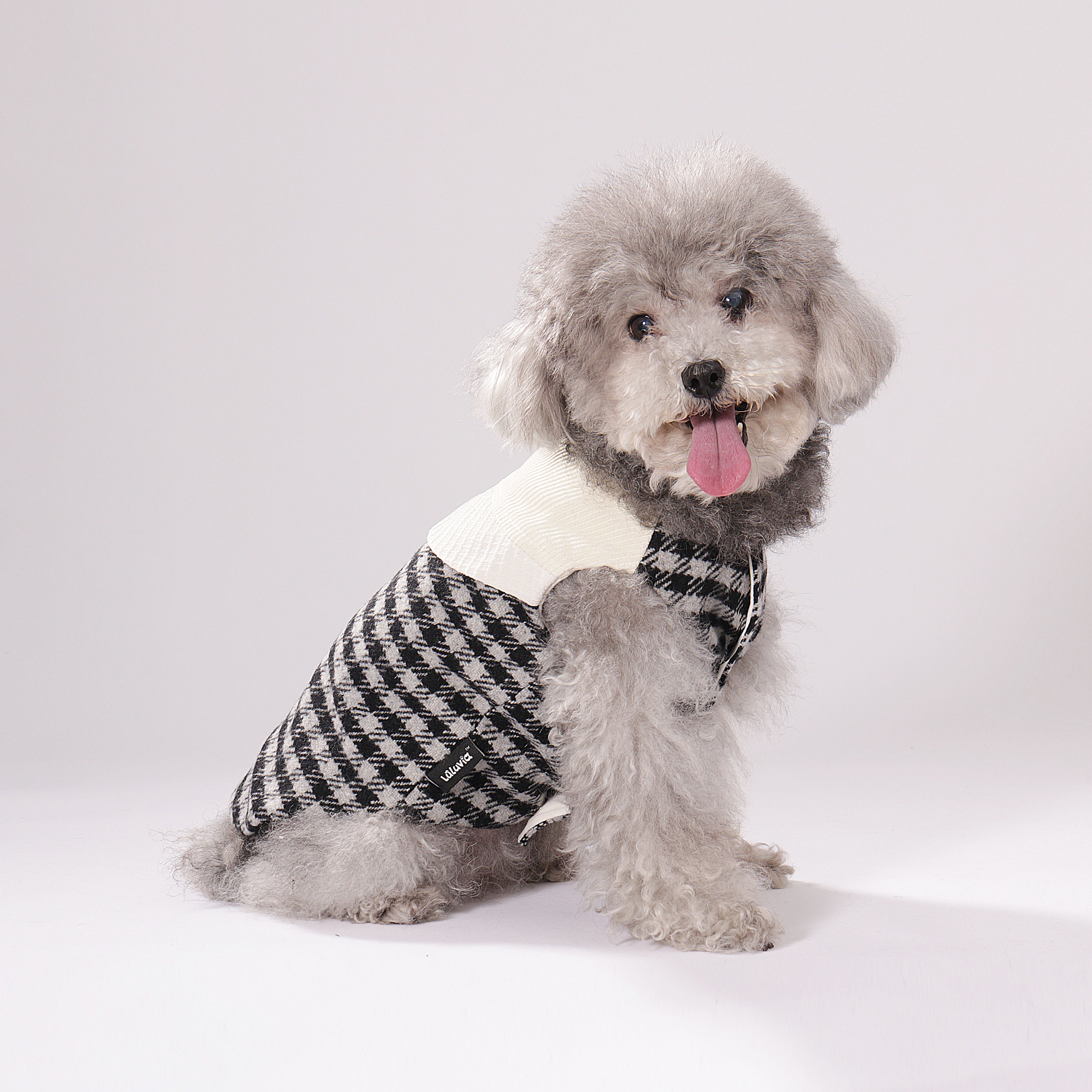 Tulle Casecade Coat