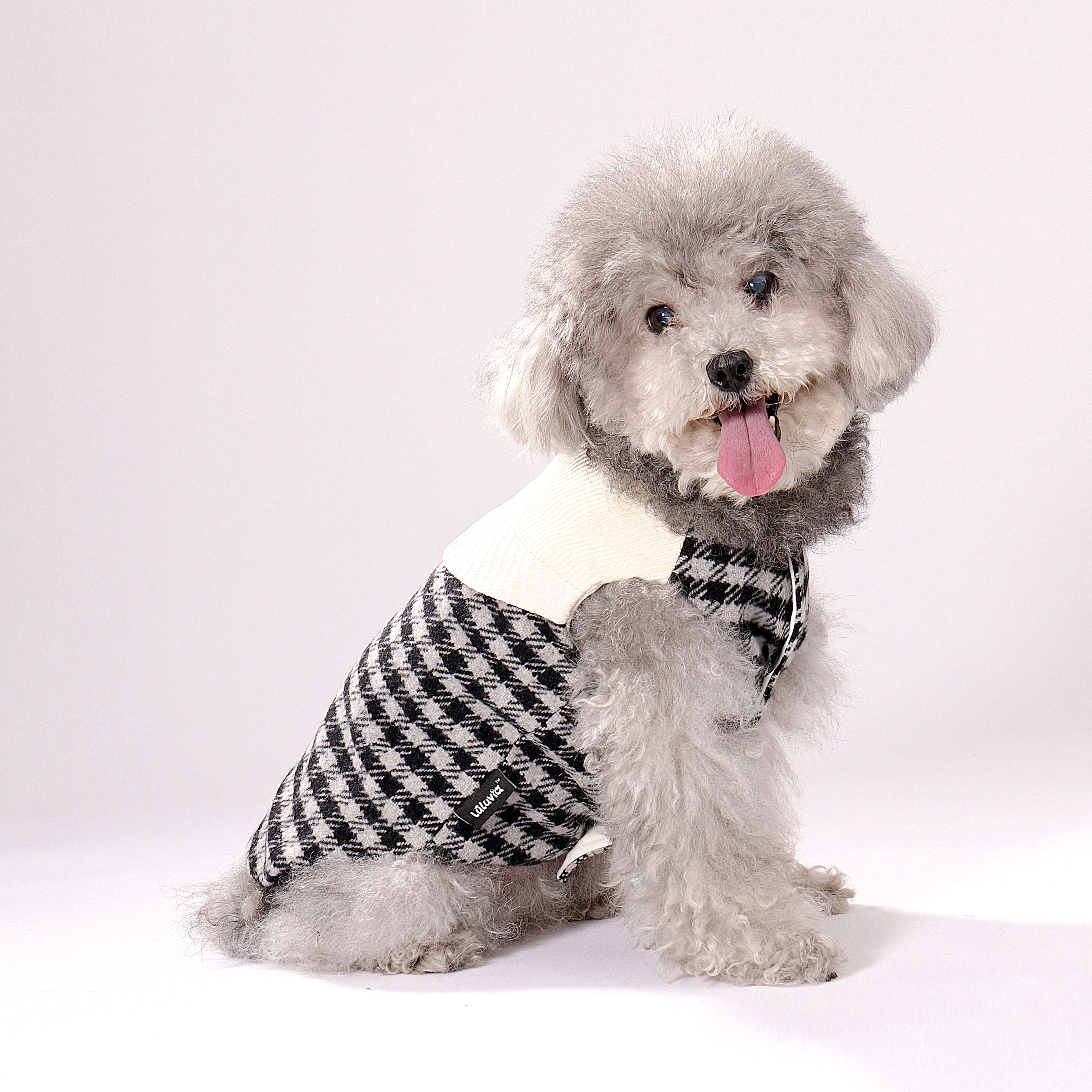 Tulle Casecade Coat