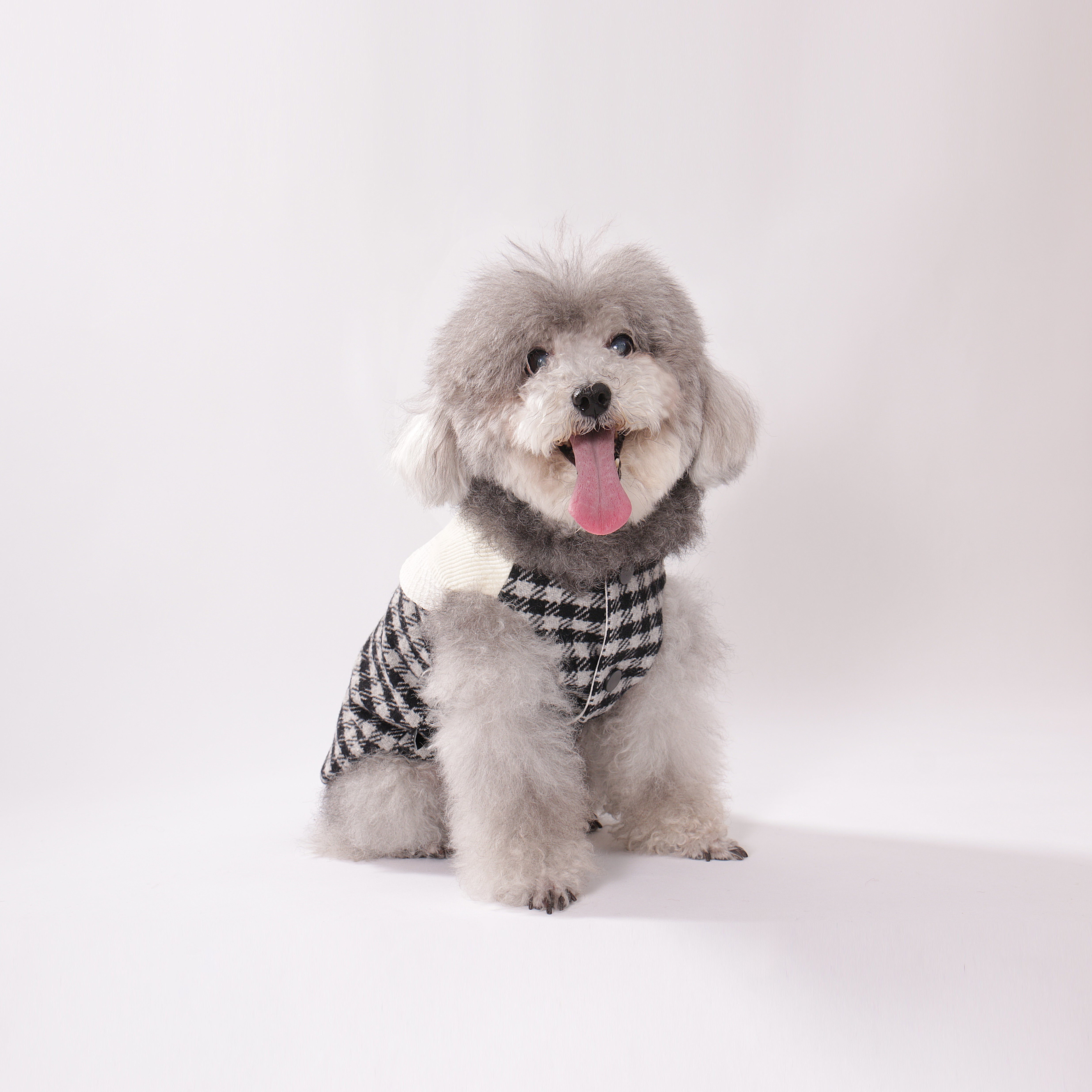 Tulle Casecade Coat