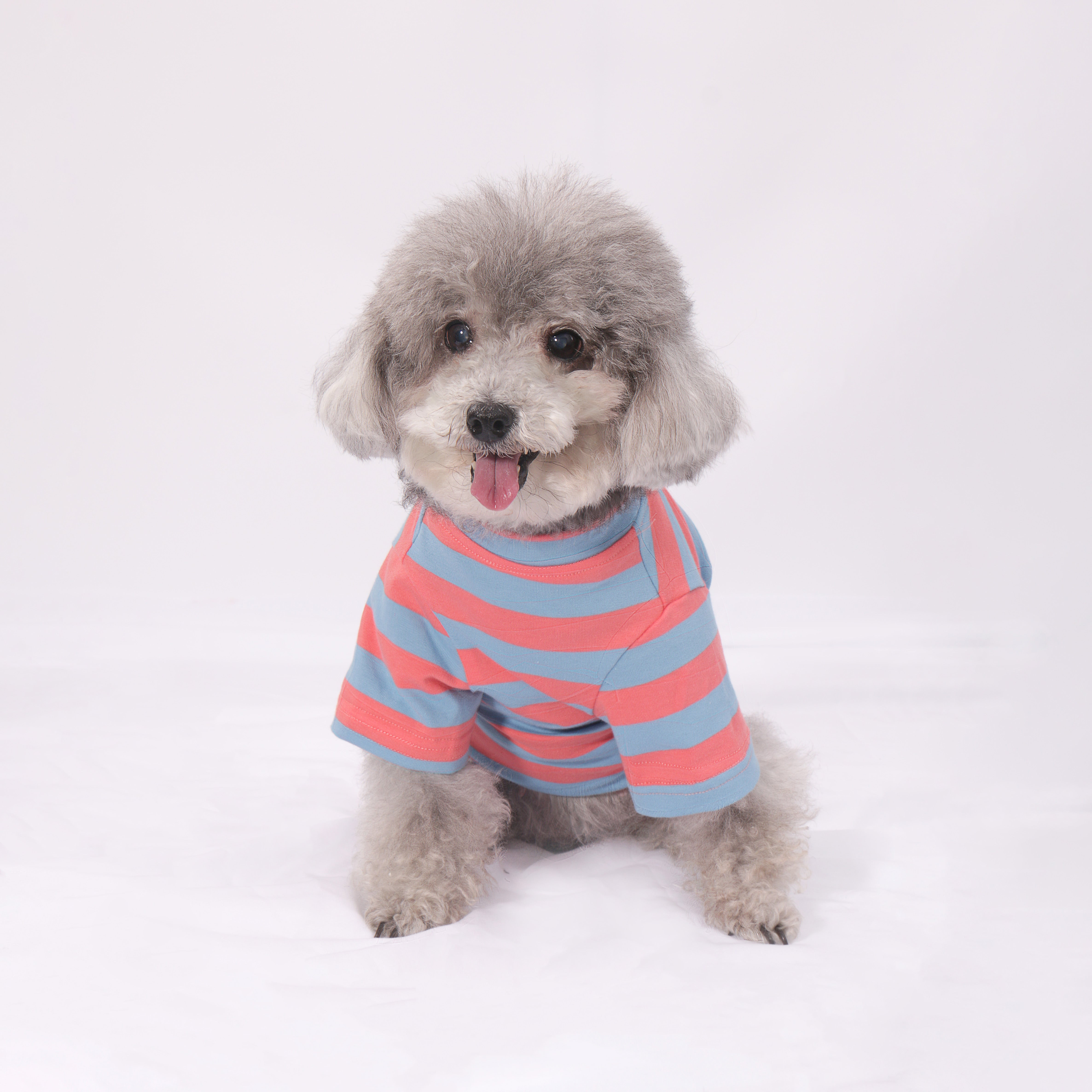 Lulu Stripe Tee