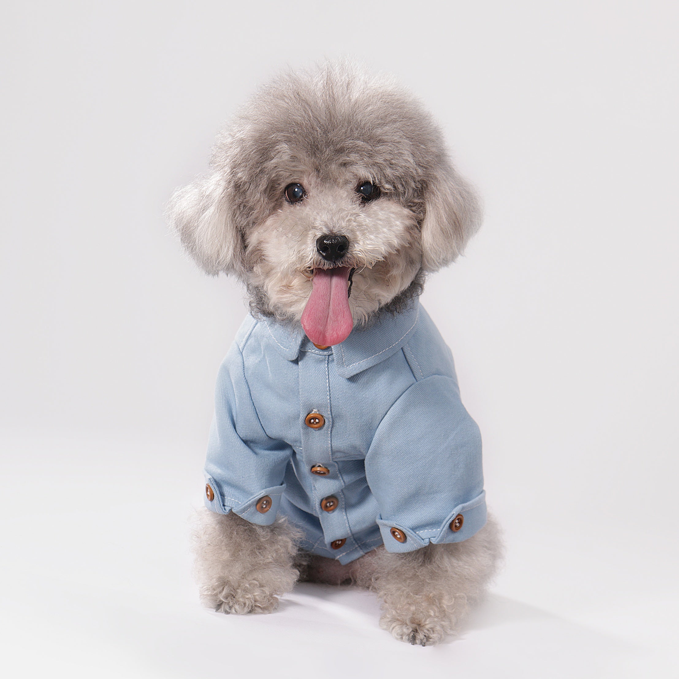 Western Denim Jean Shirt