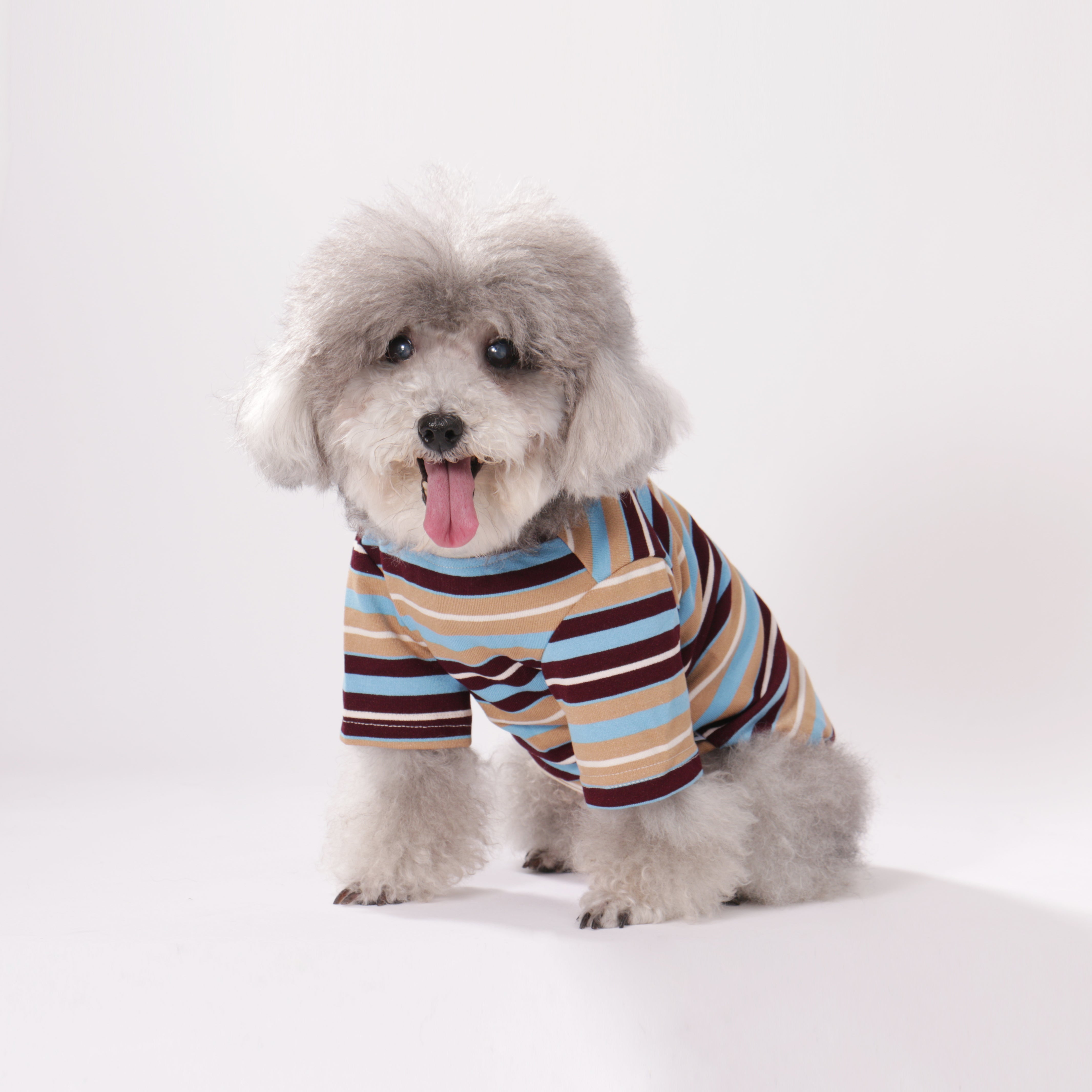 Lulu Stripe Polo