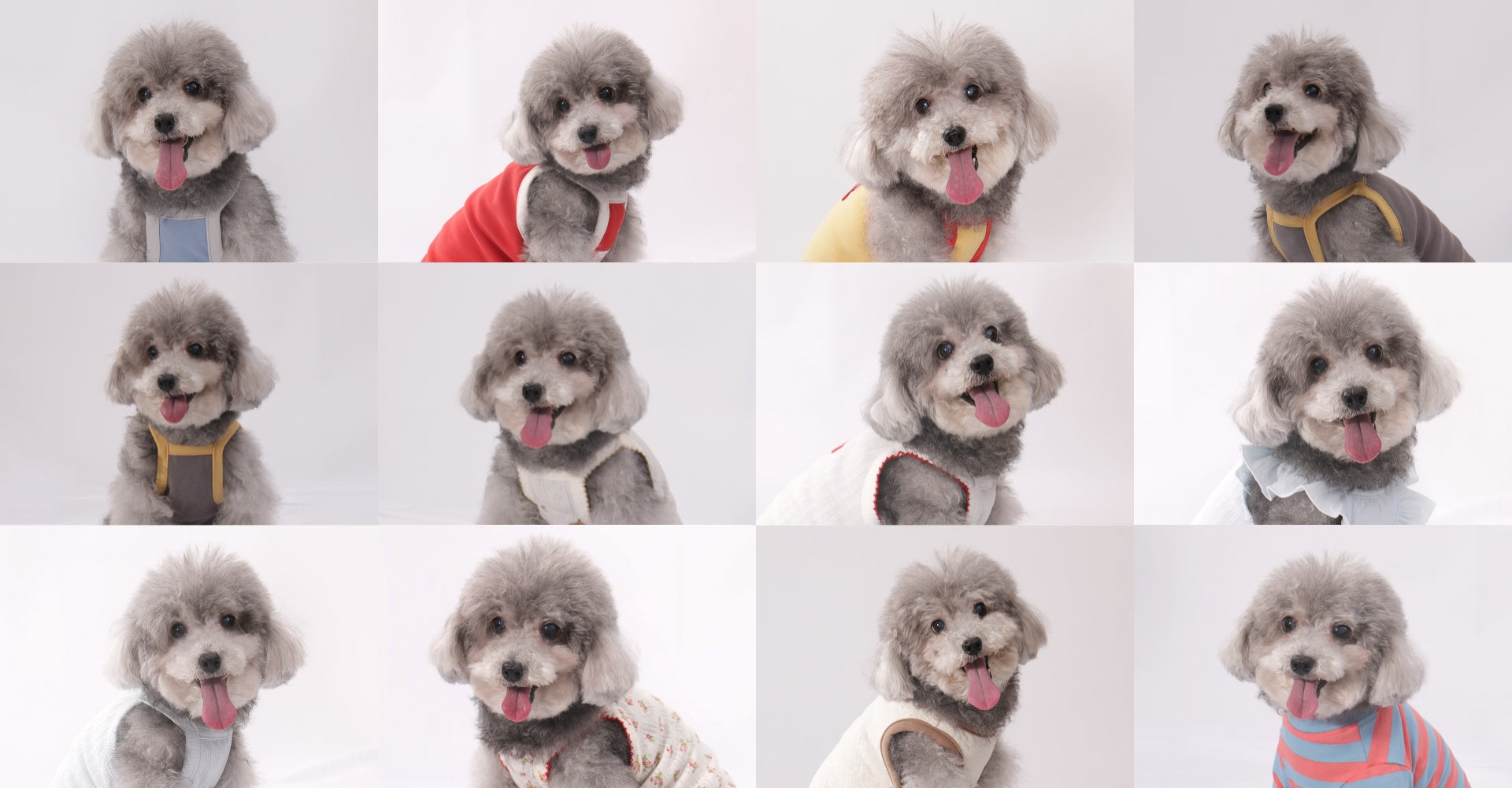LULUVIA Pet Clothing