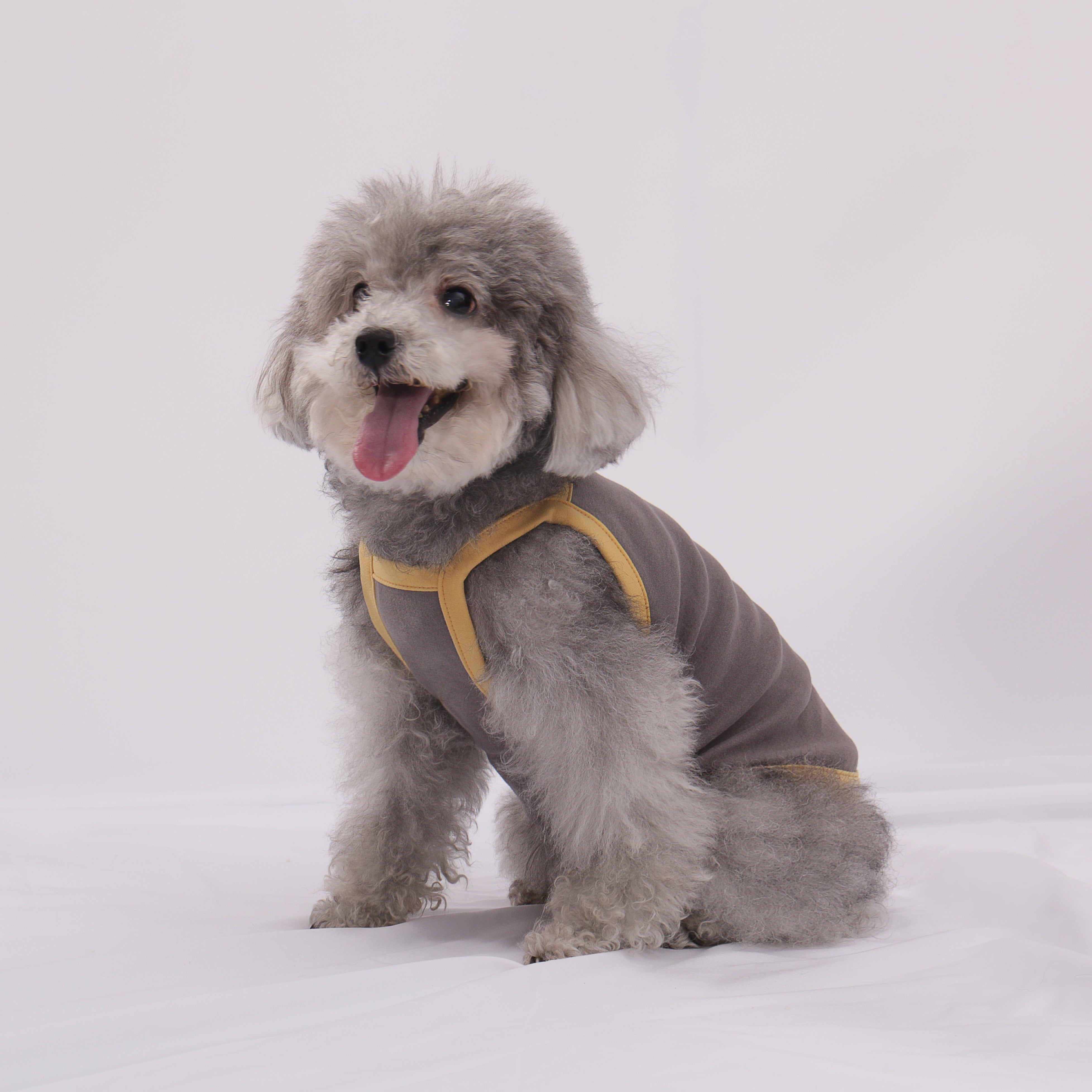 LULUVIA Pet Clothing