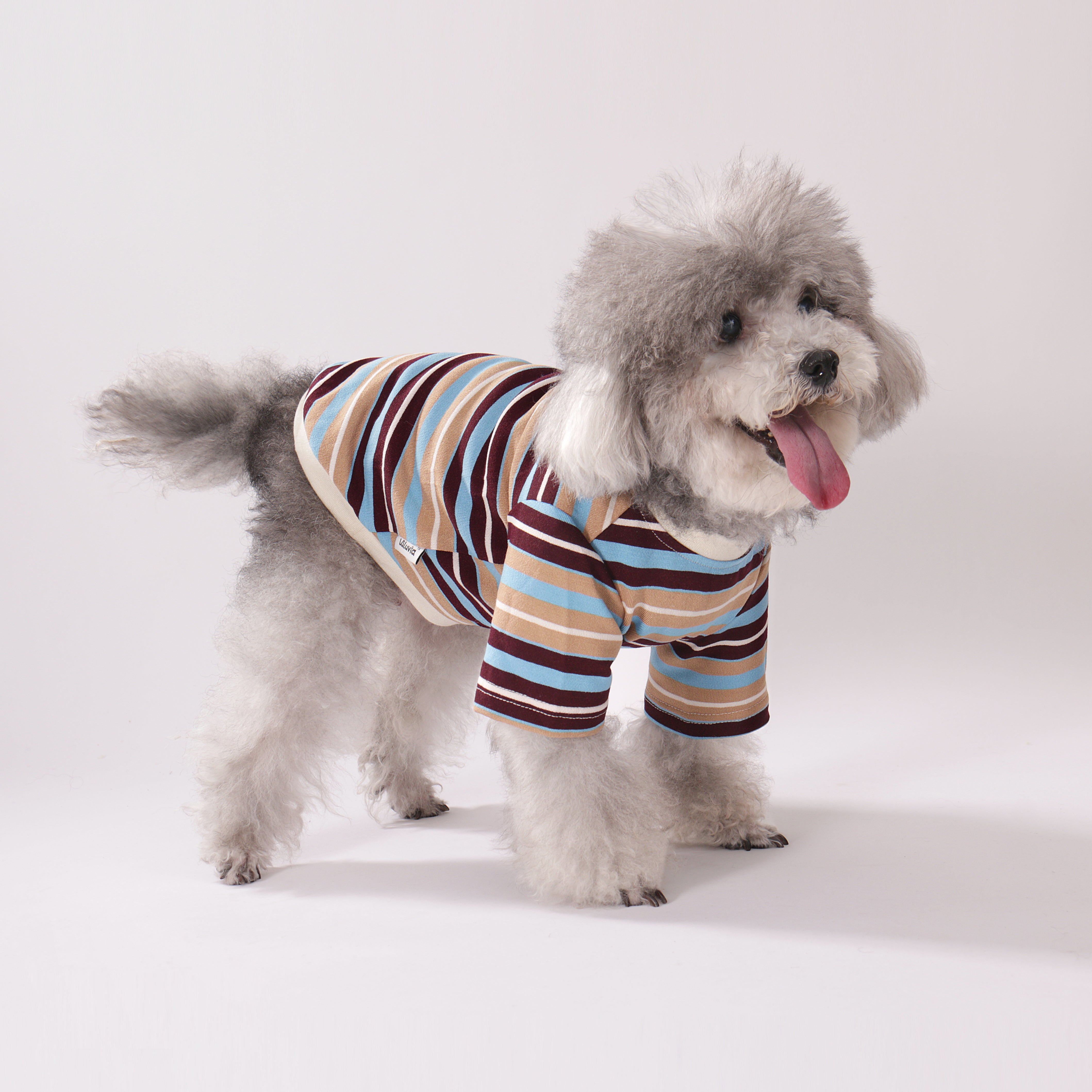 Lulu Stripe Polo