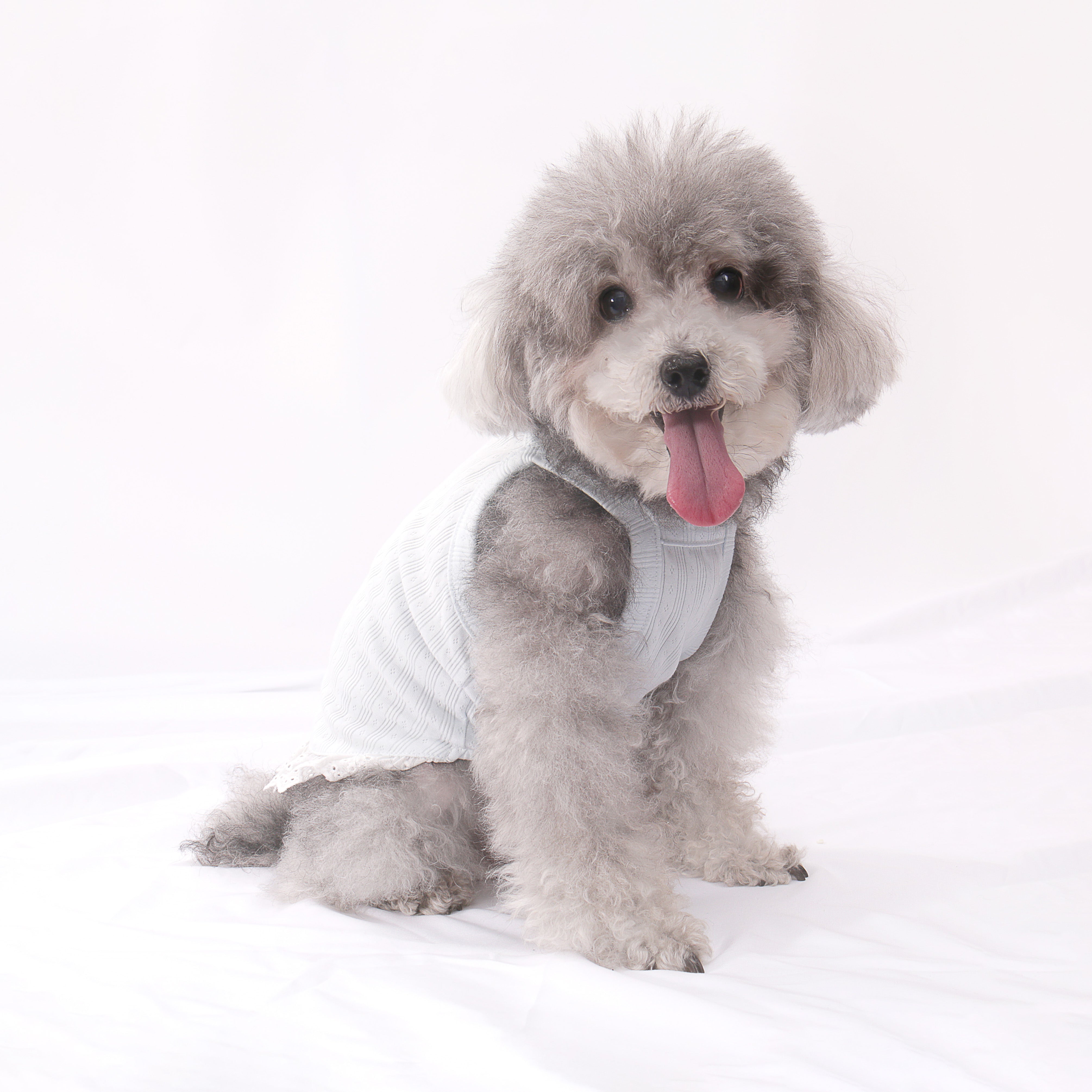 LULUVIA Pet Clothing