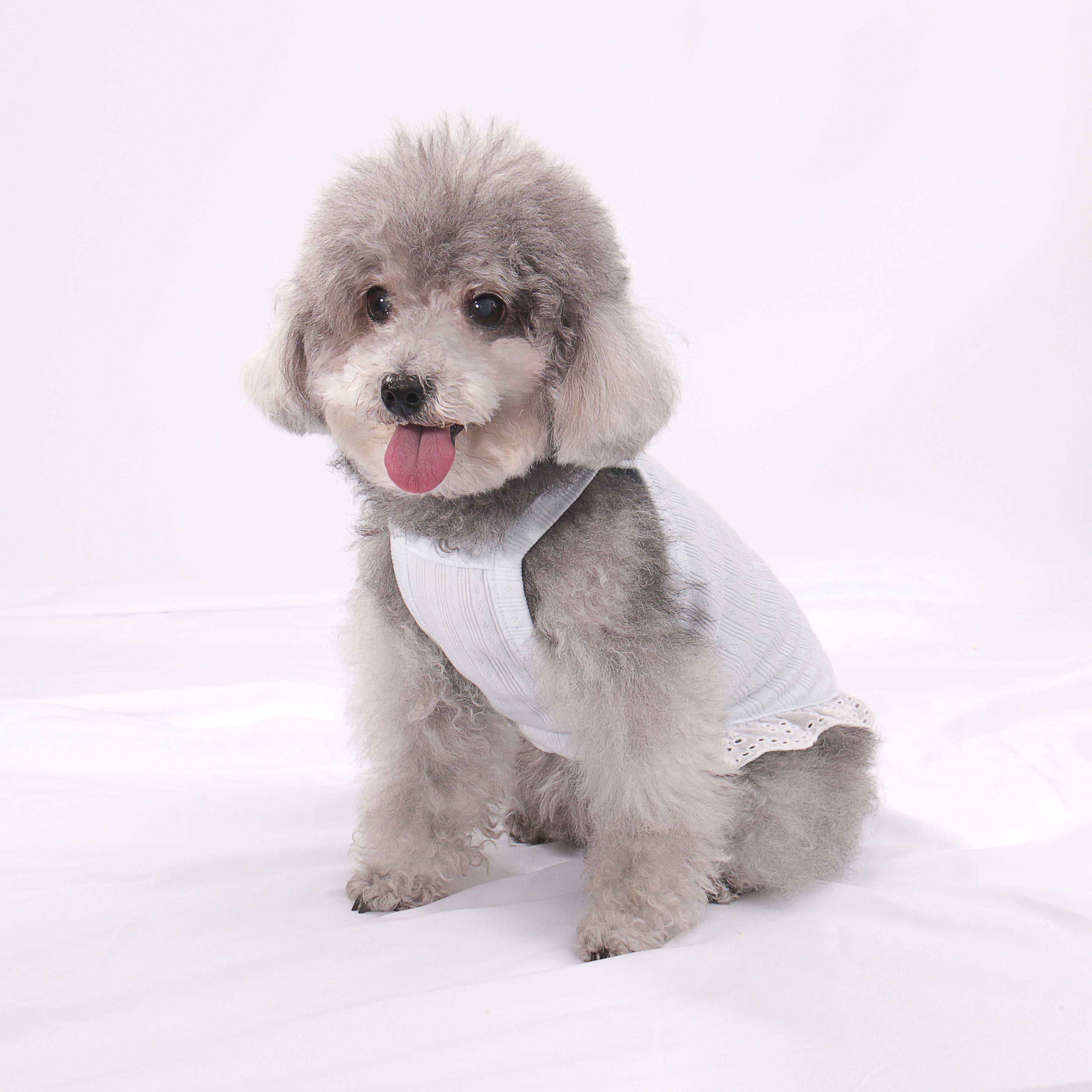 LULUVIA Pet Clothing