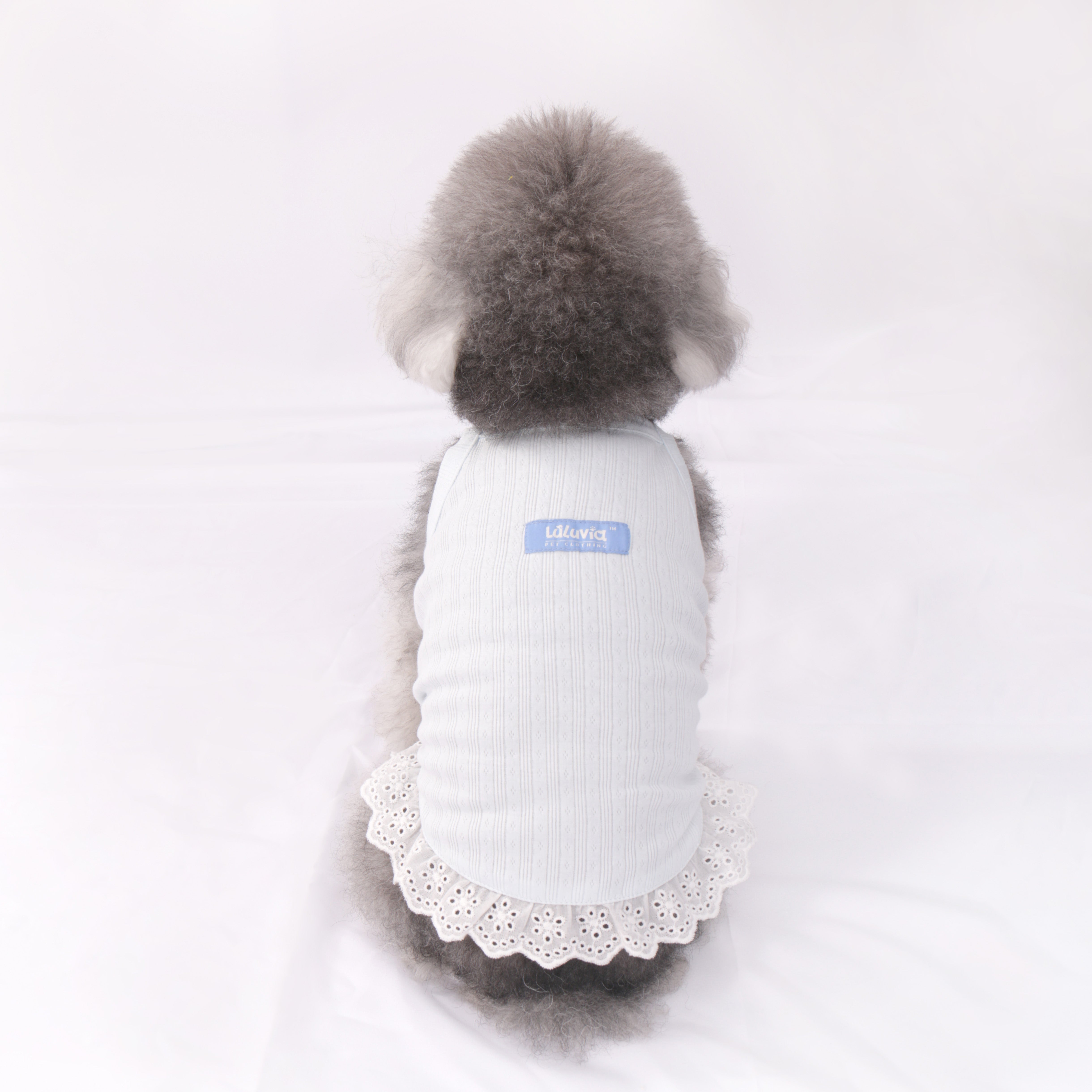 LULUVIA Pet Clothing