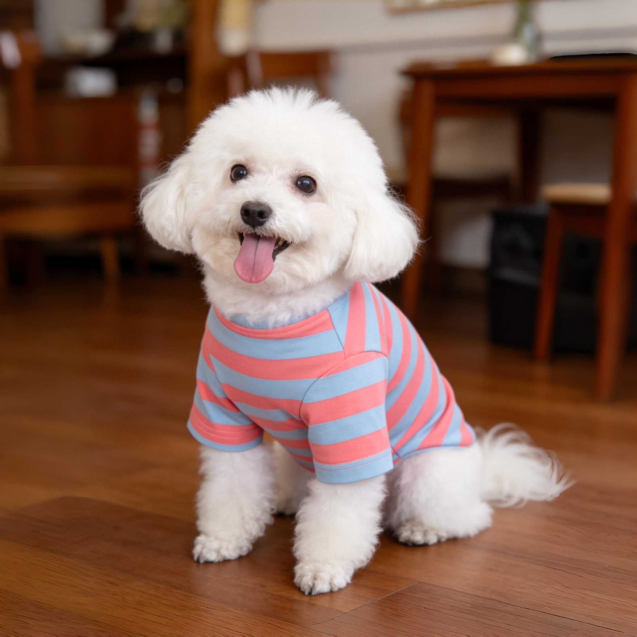 LULUVIA Pet Clothing