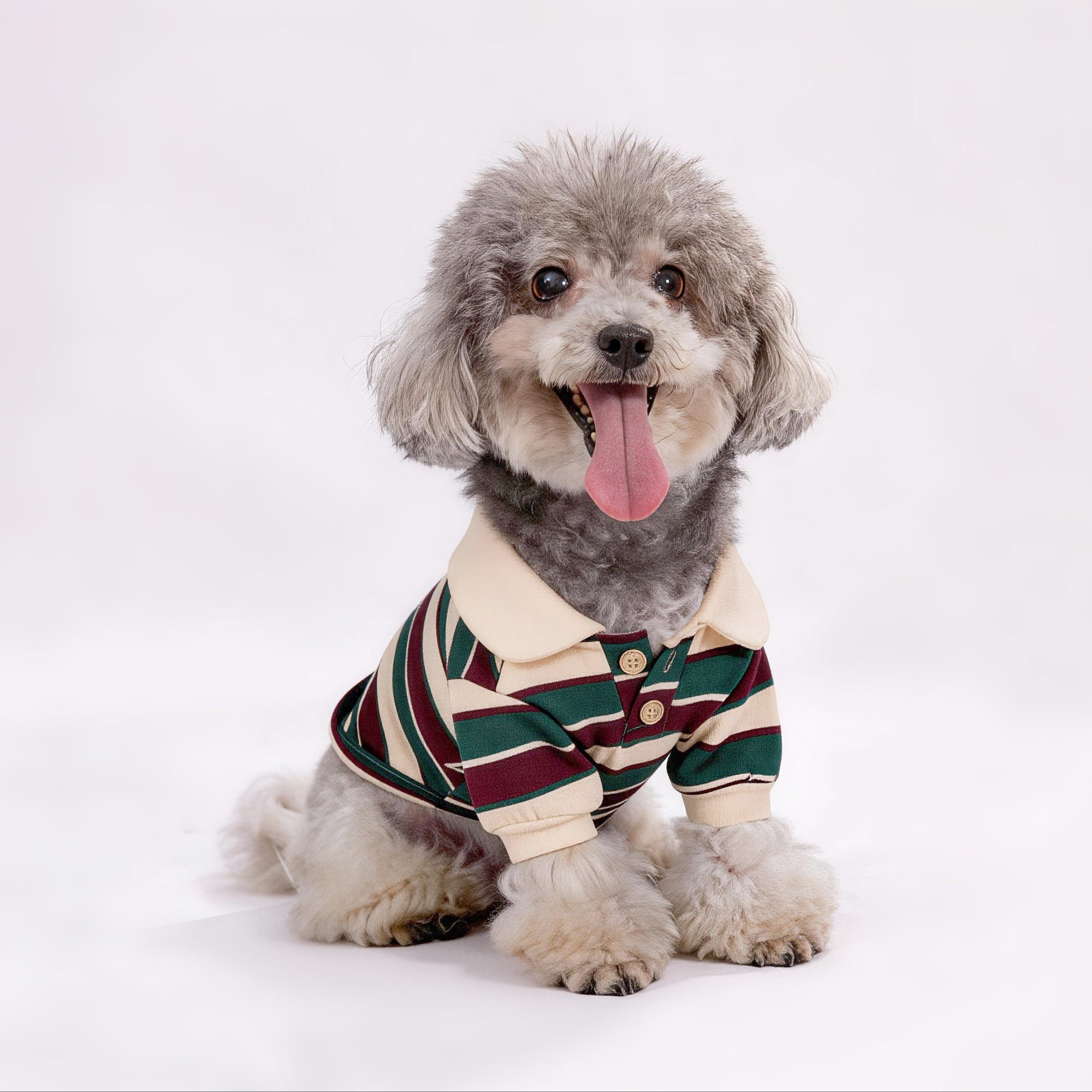 LULUVIA Pet Clothing